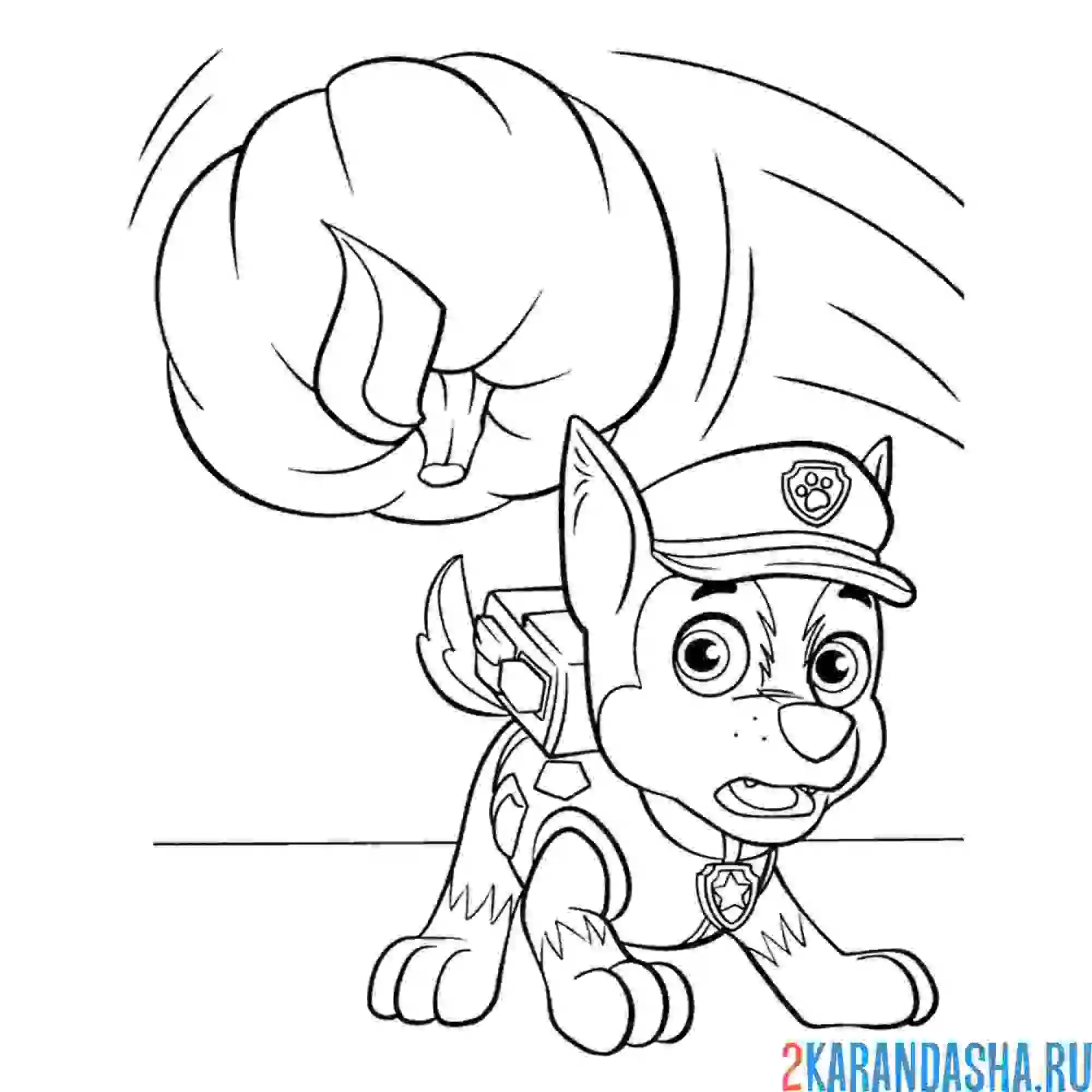 Раскраска гонщик и тыква