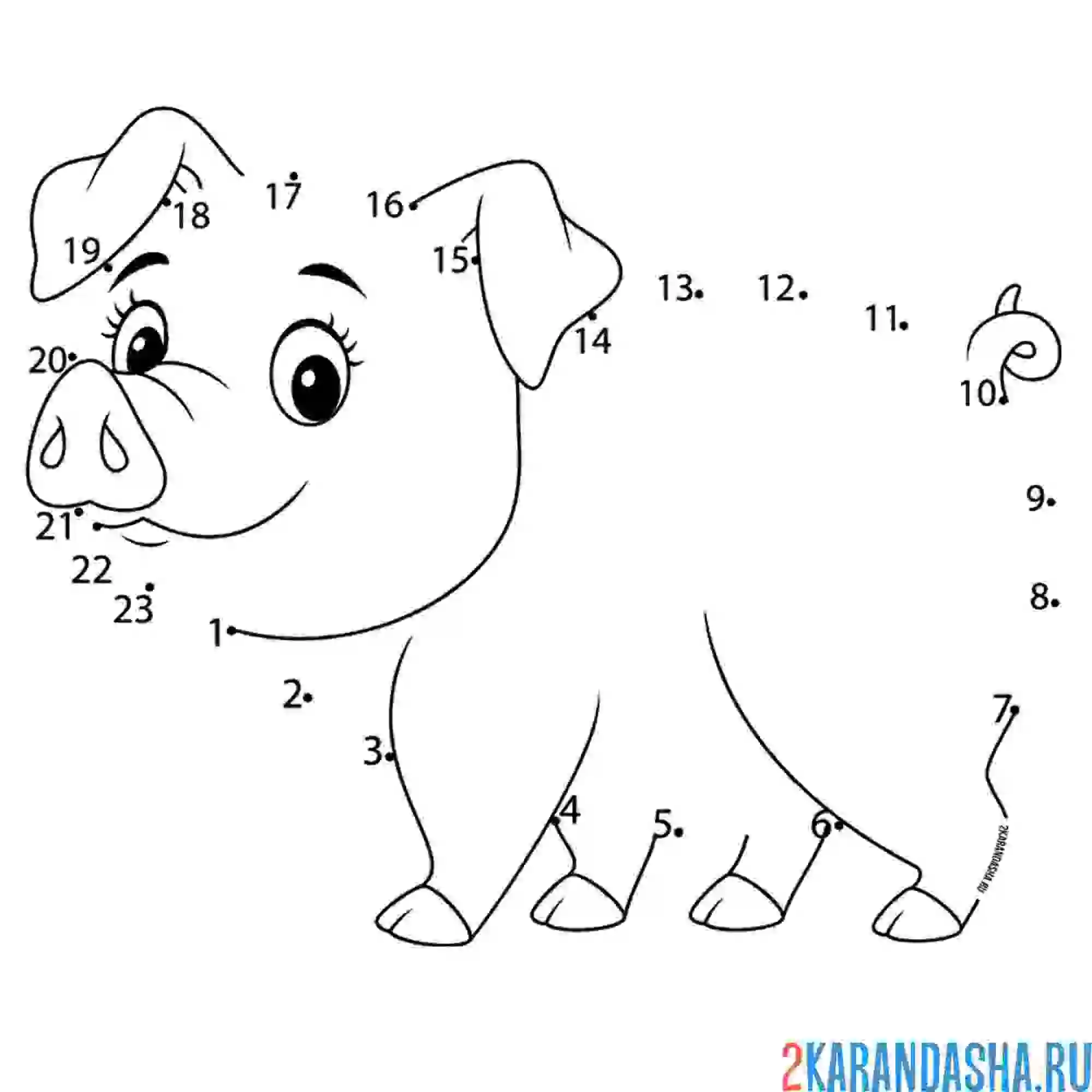 Раскраска поросенок