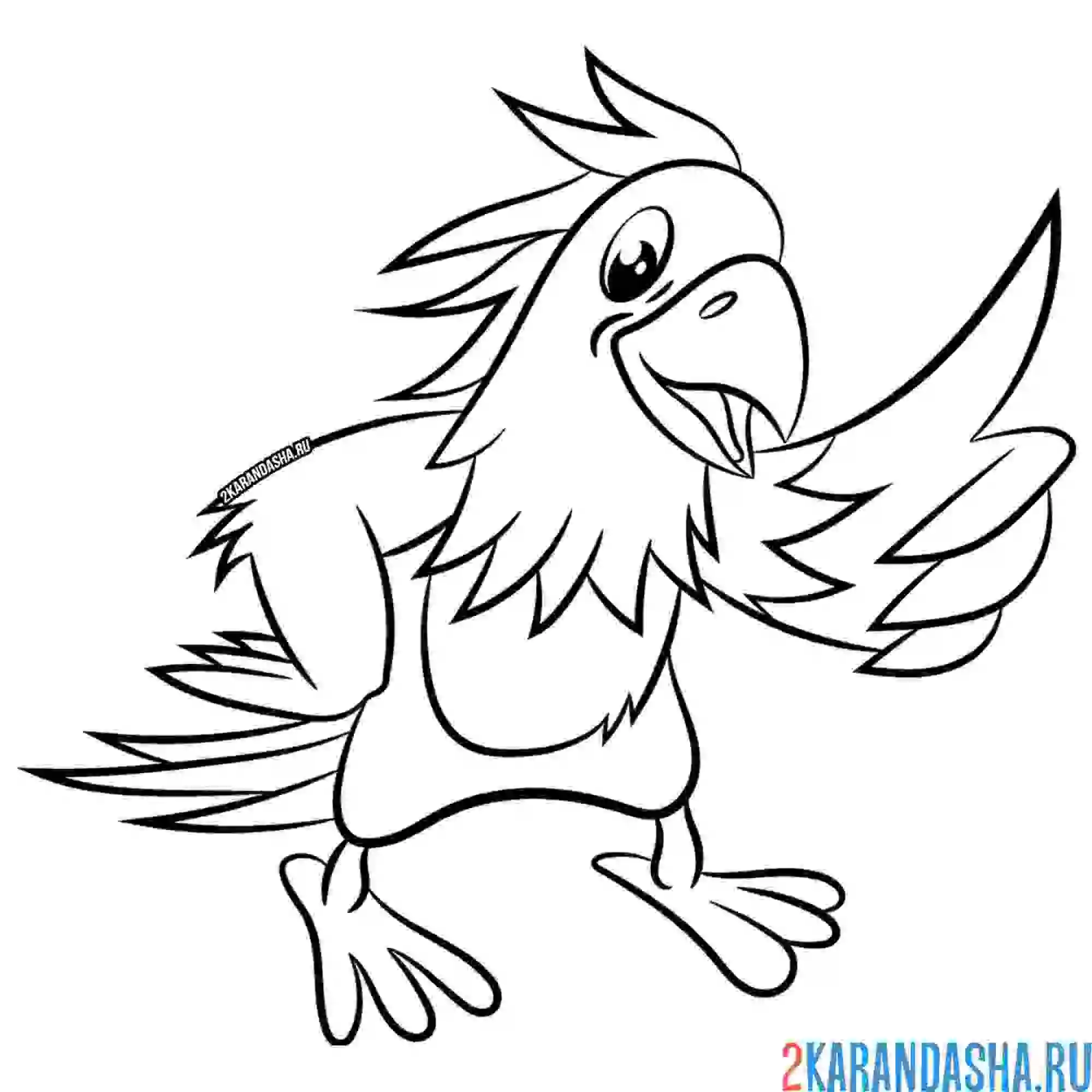 Раскраска большой цветной попугай