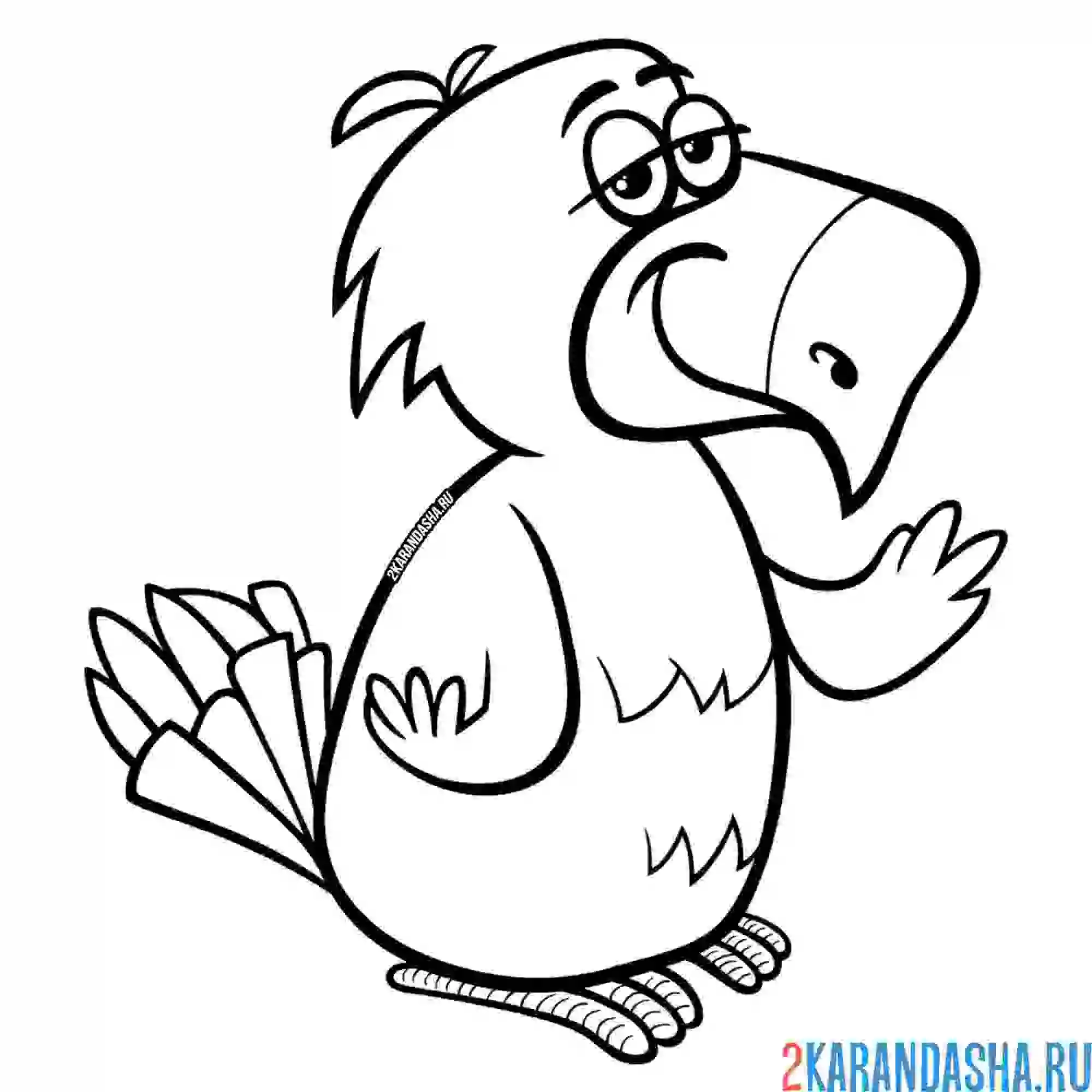 Раскраска смешной попугай