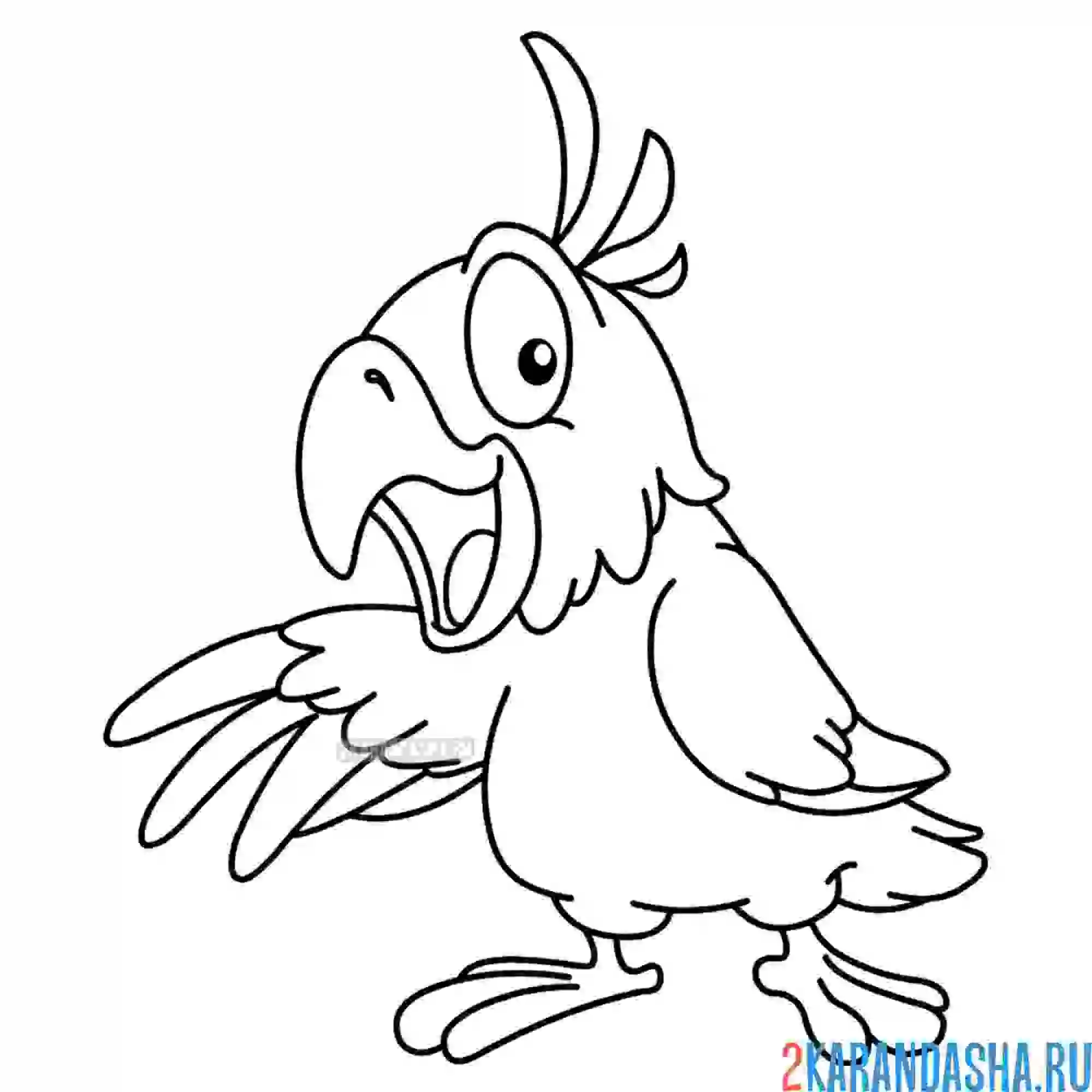 Раскраска ара попугай