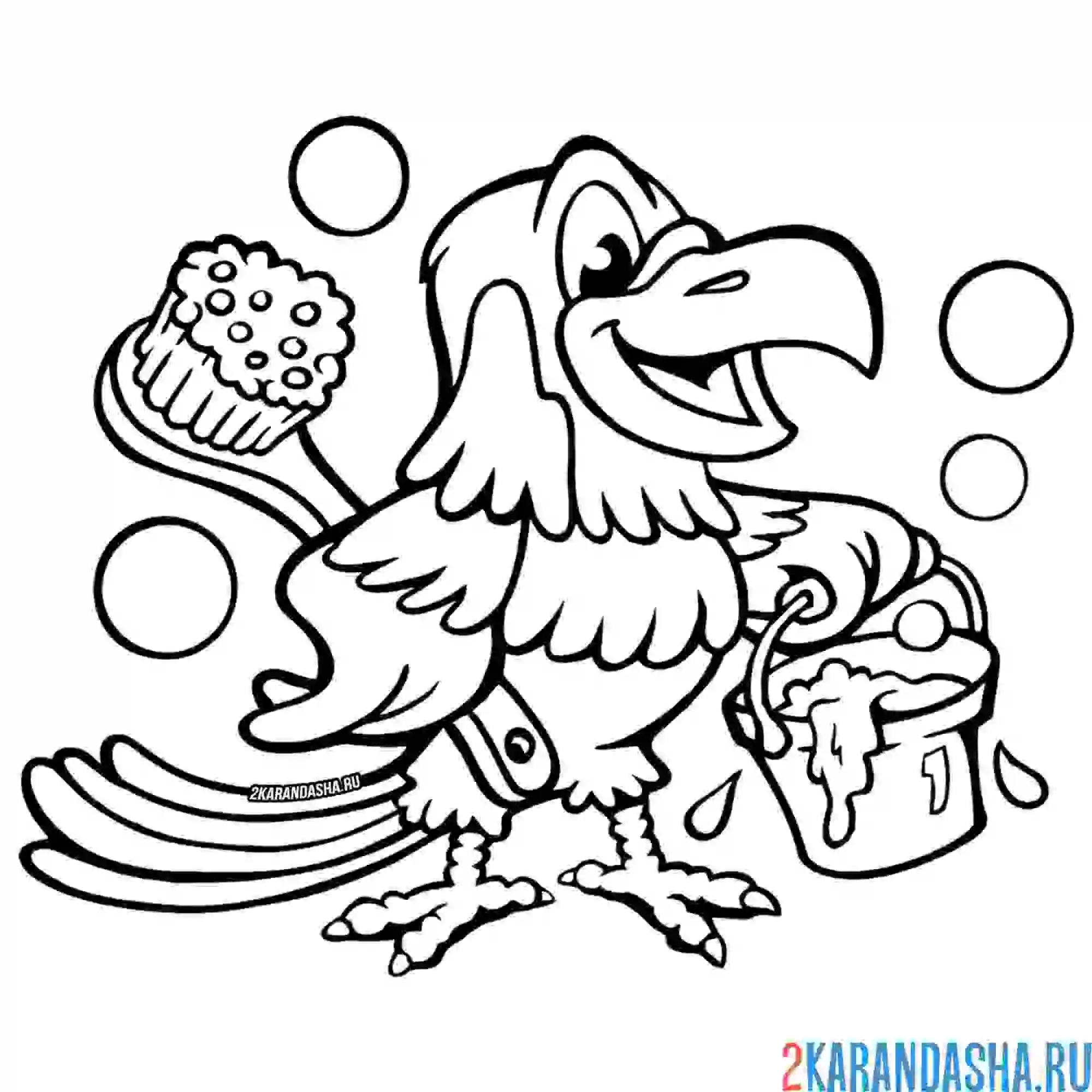 Раскраска забавный попугай с щеткой