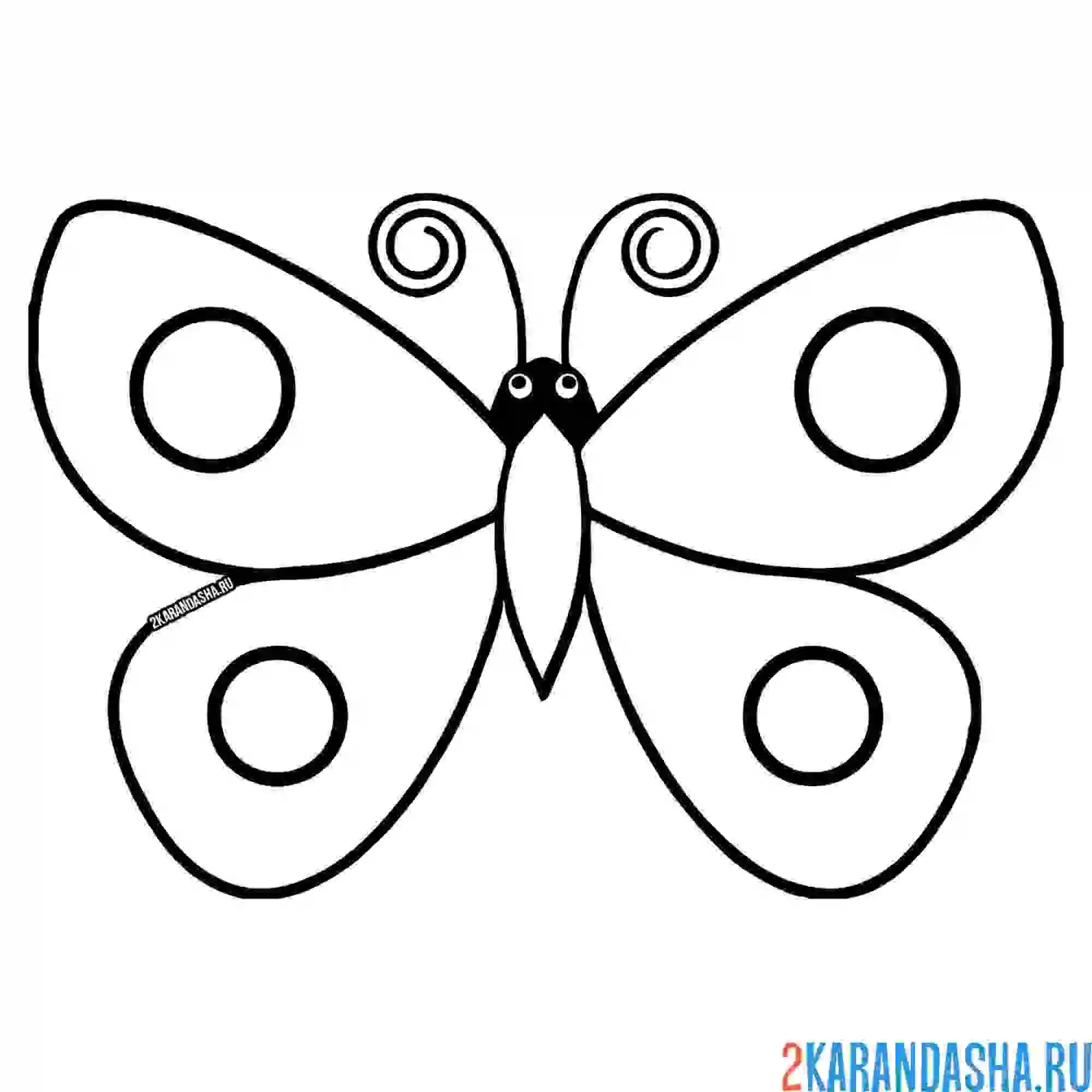 Раскраска бабочка для малышей
