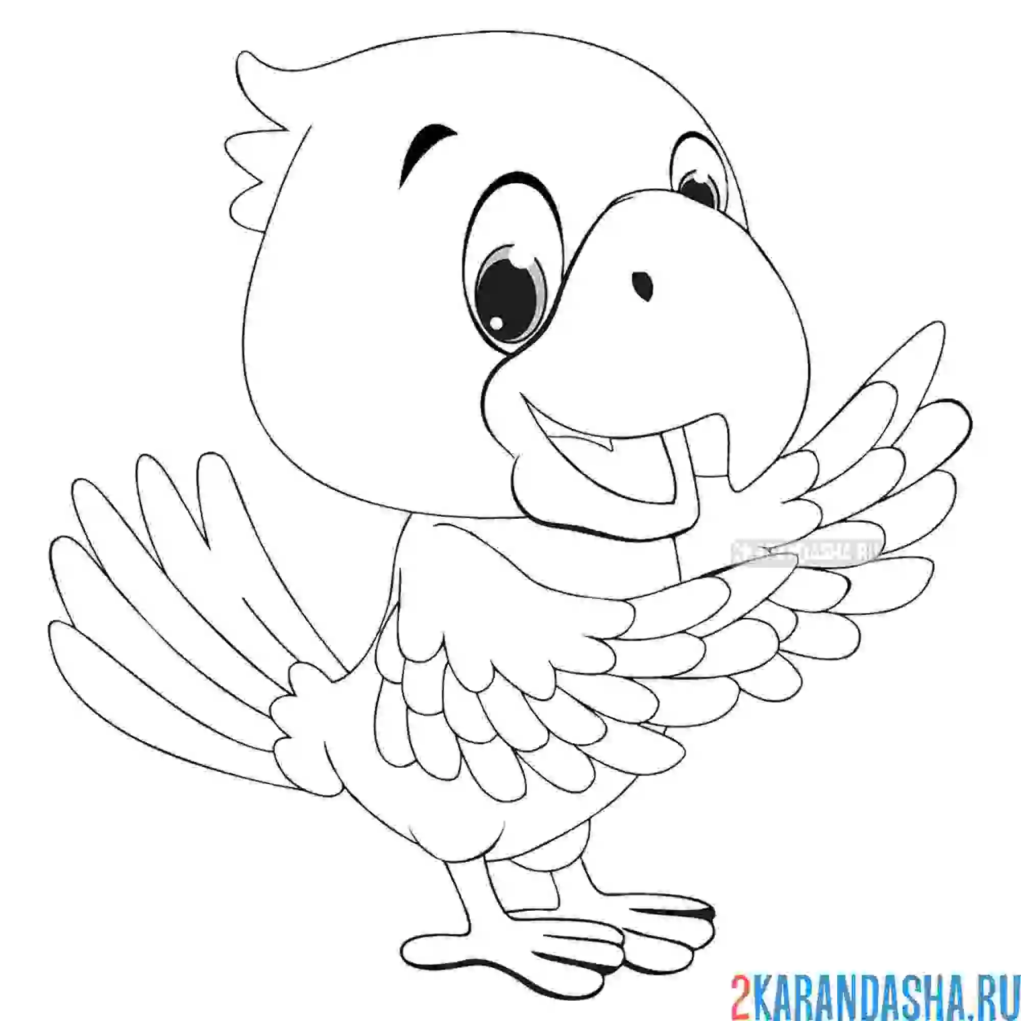 Раскраска птенчик попугая
