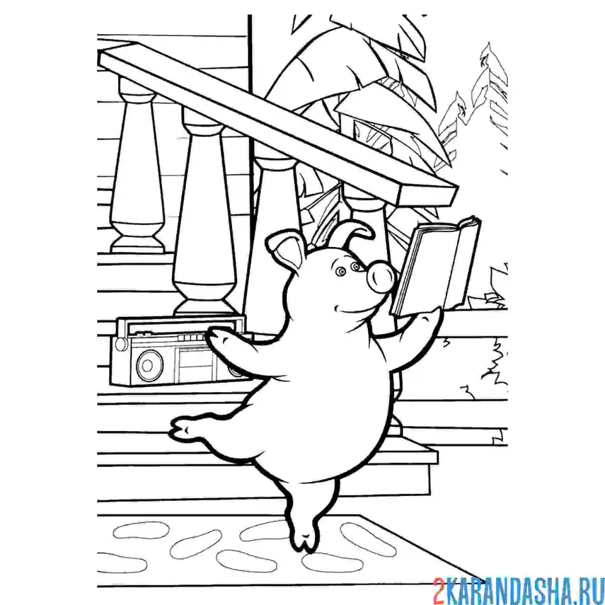 Раскраска свинка с книжкой