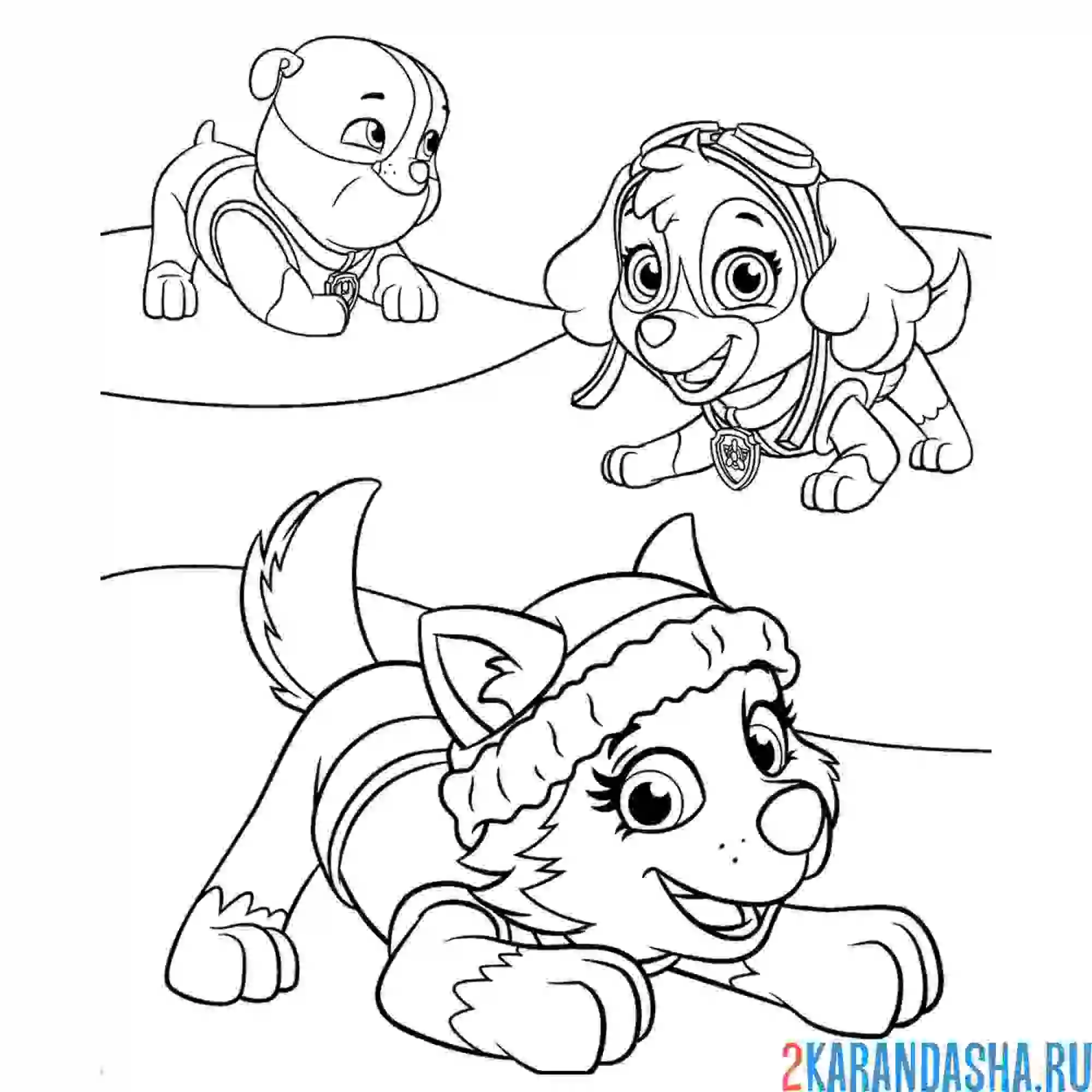 Раскраска скай, крепыш и эверест