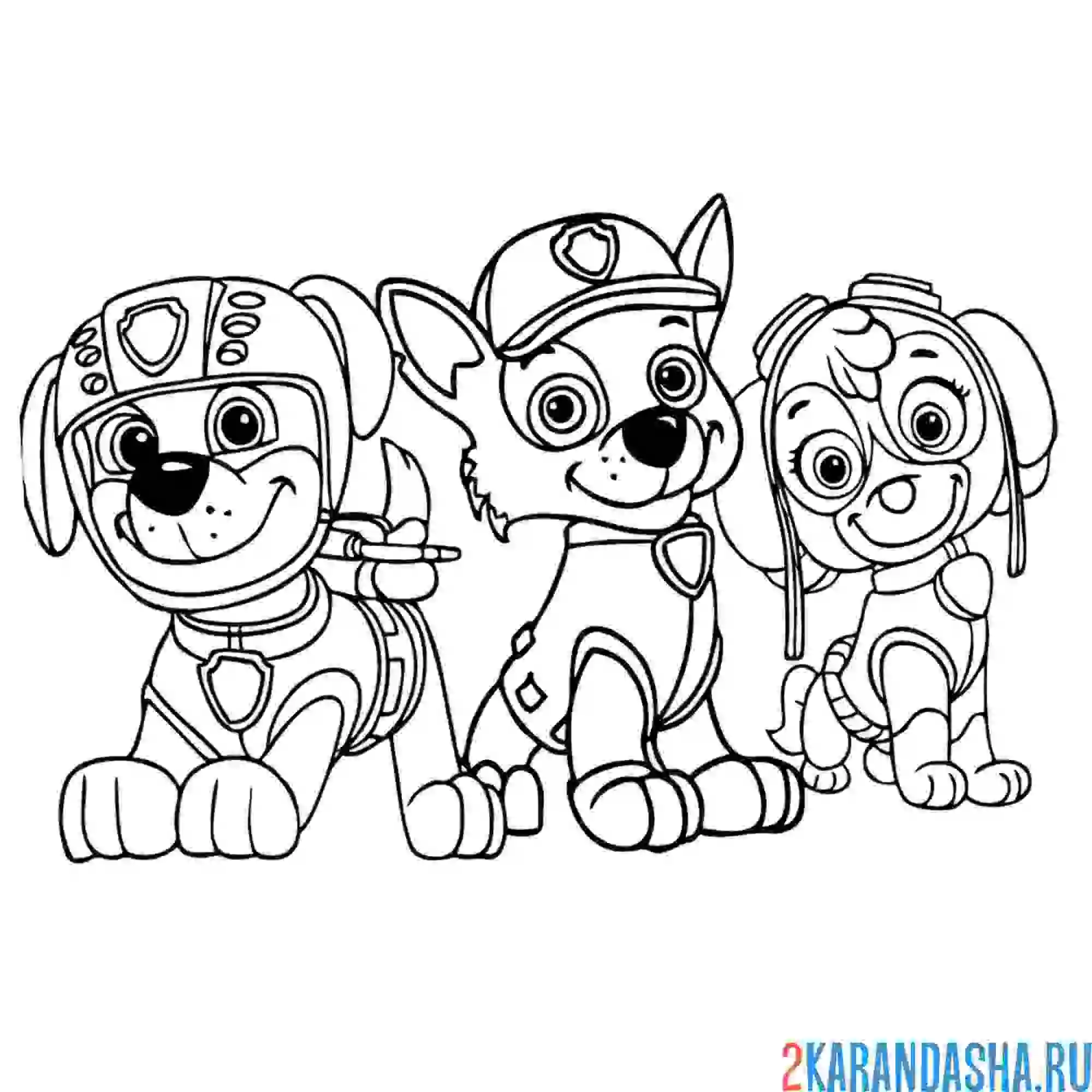 Раскраска зума, гонщик и скай