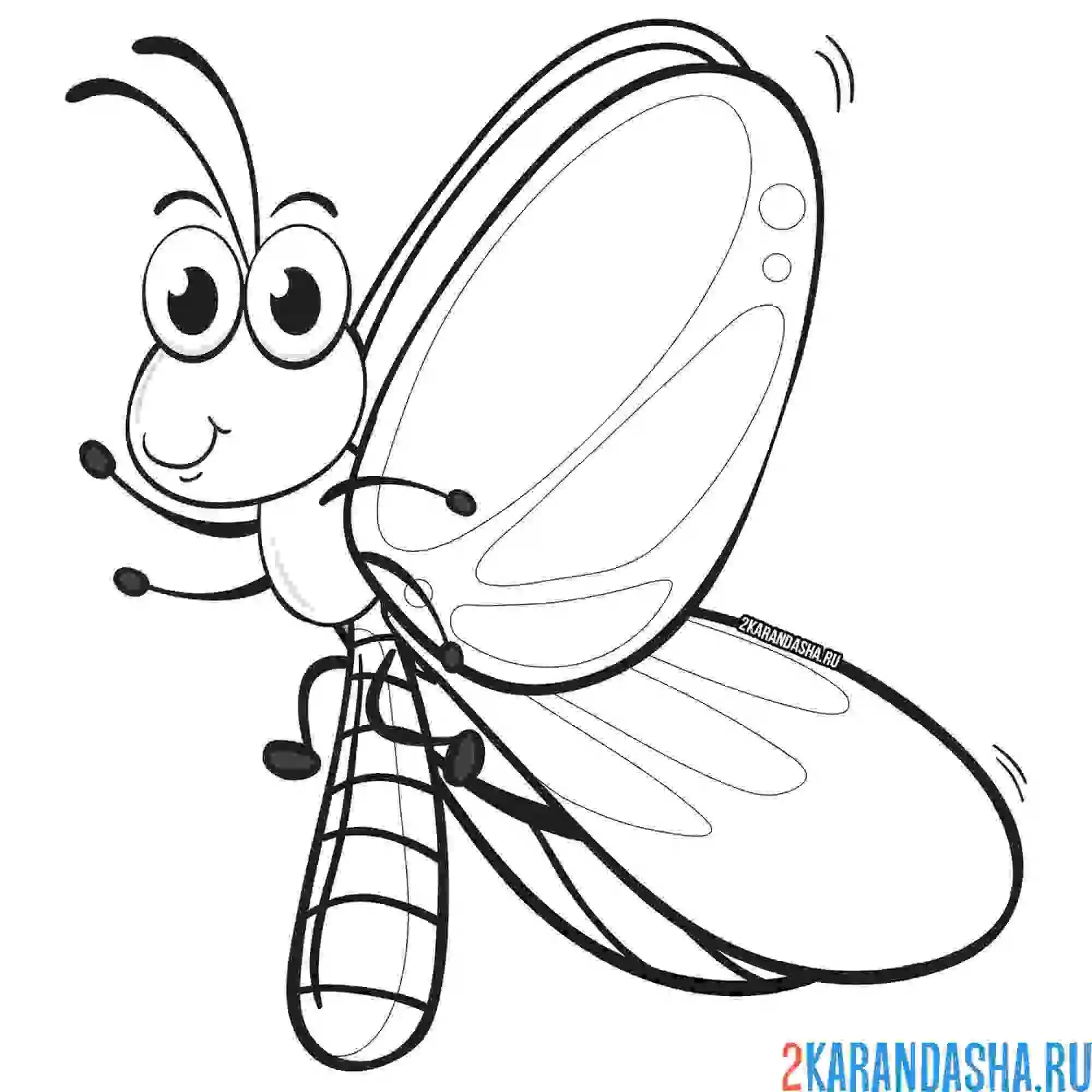 Раскраска маленькая игривая бабочка