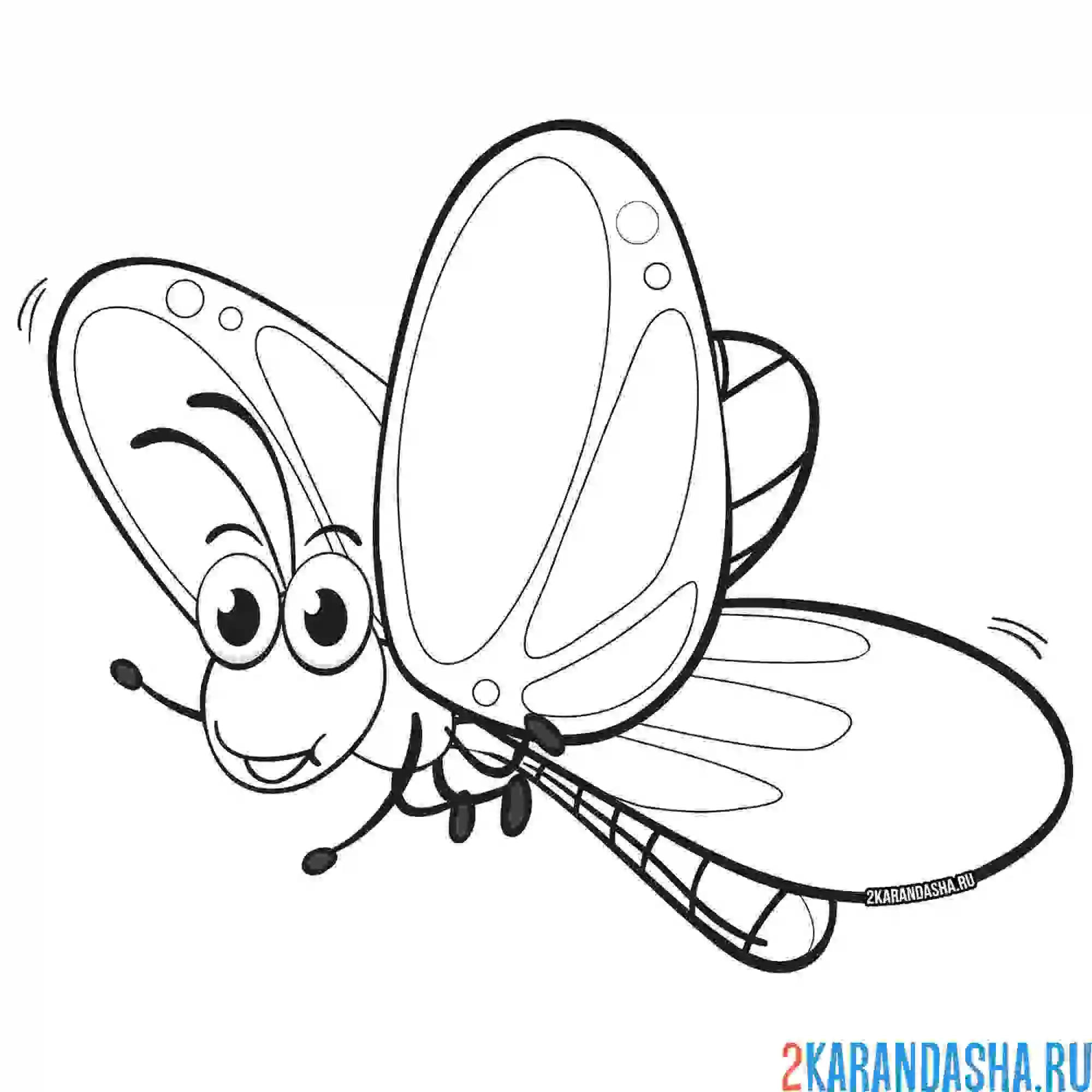 Раскраска хулиганистая бабочка