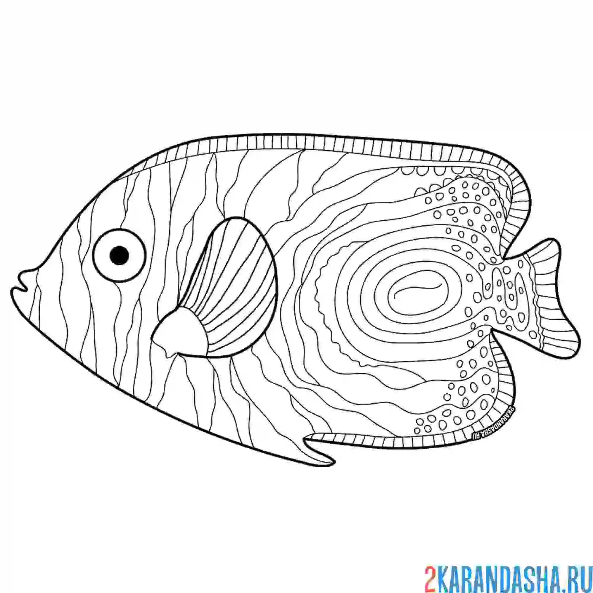 Раскраска антистресс рыбка с разводами