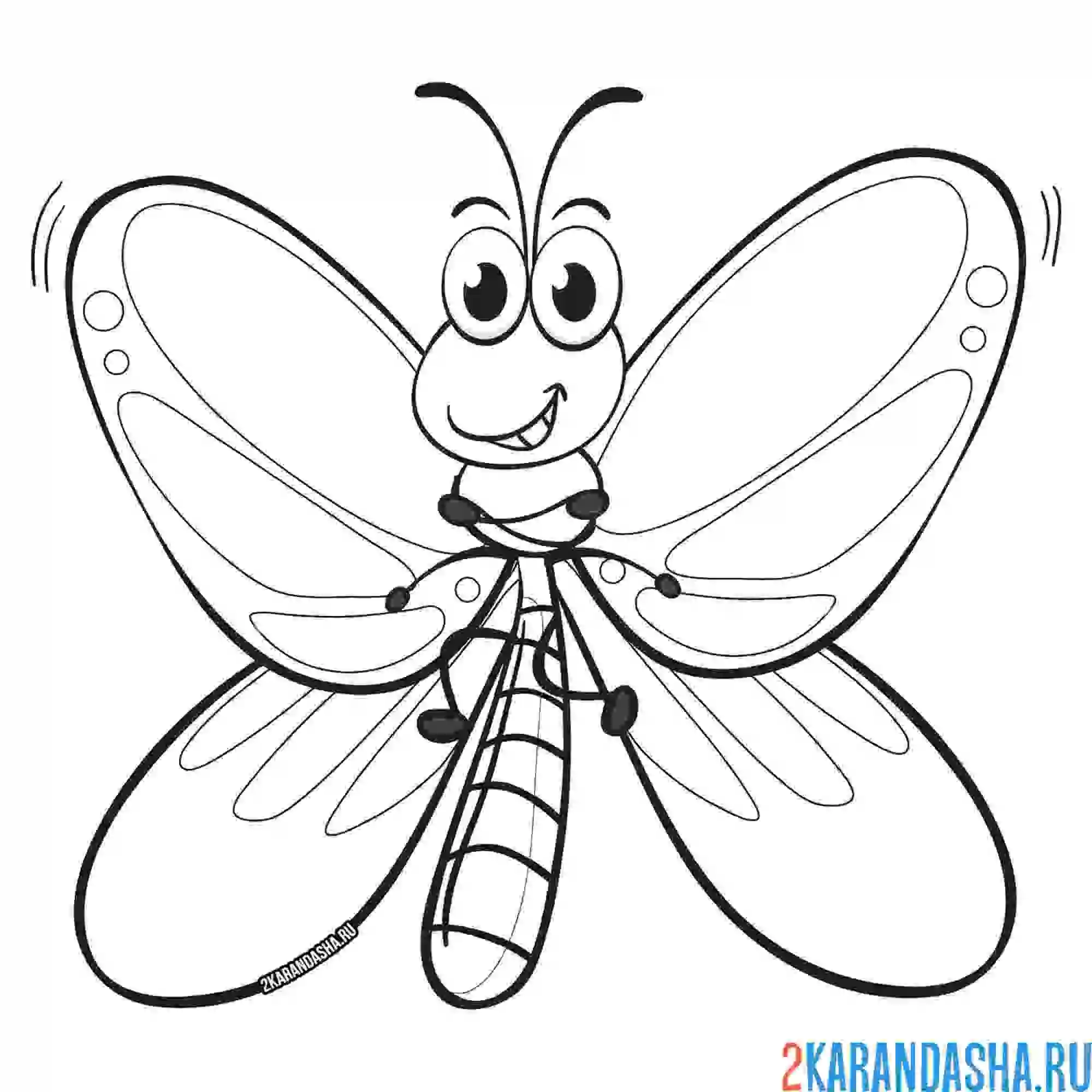 Раскраска хитрая бабочка