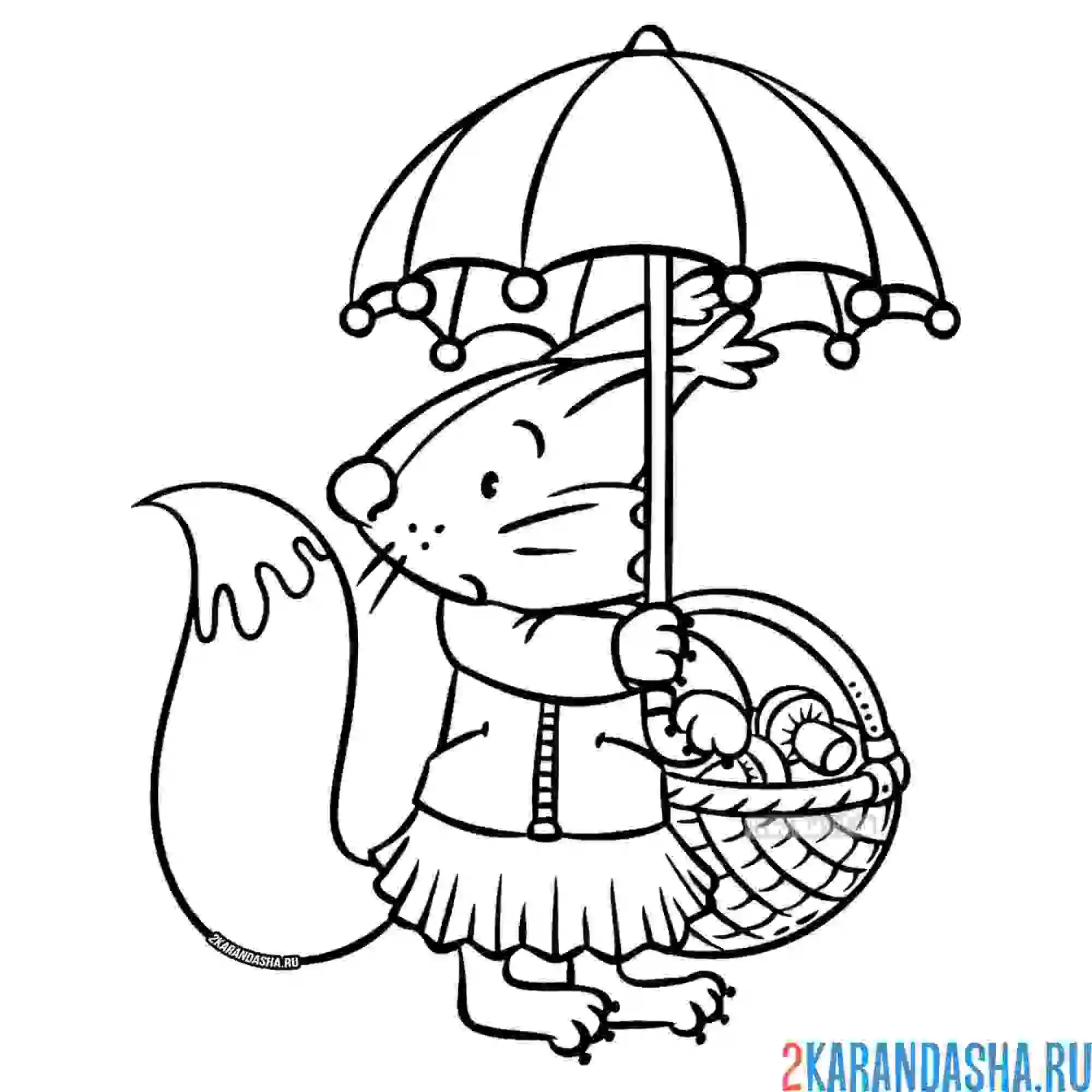 Раскраска белочка с грибами под зонтом осенью