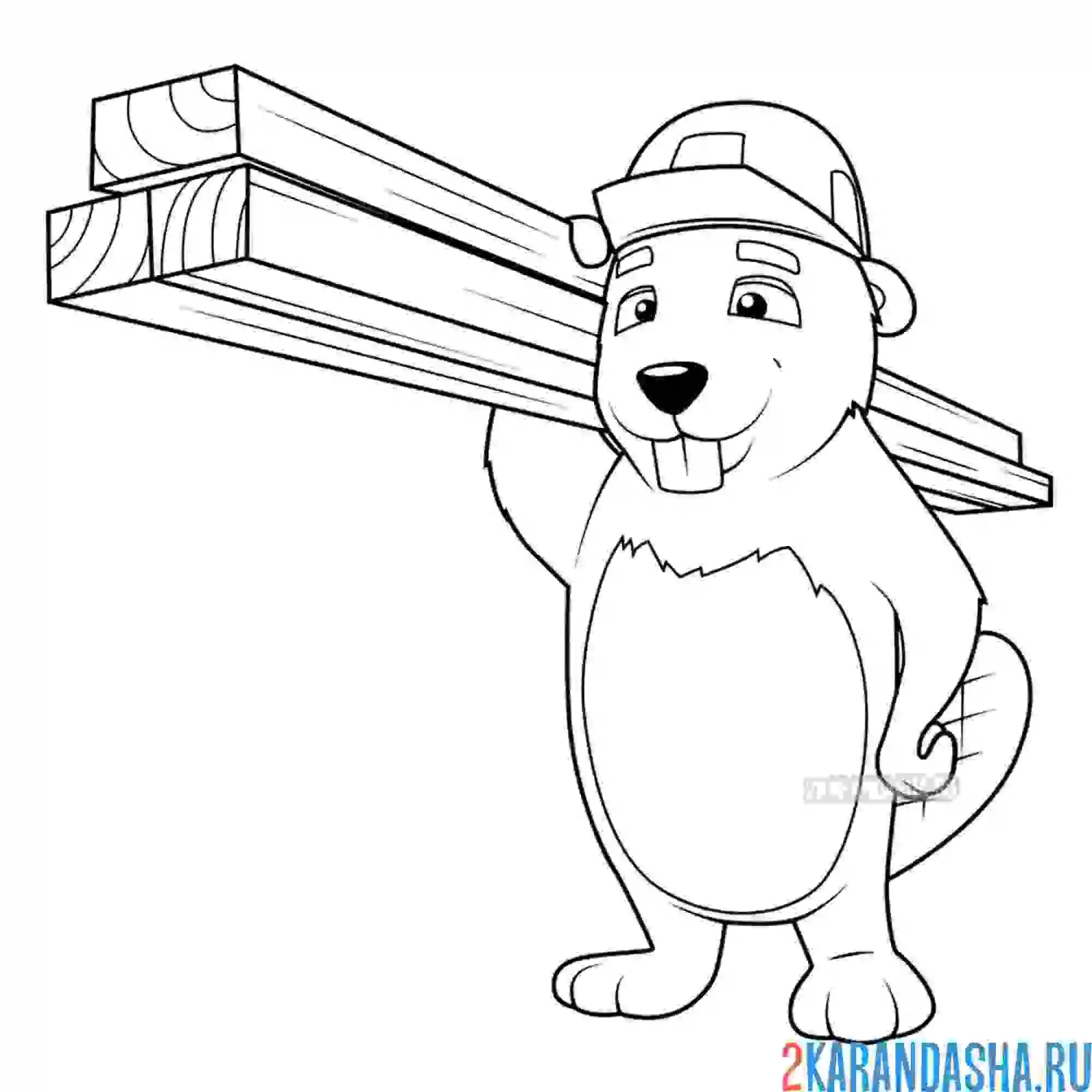 Раскраска бобер строитель