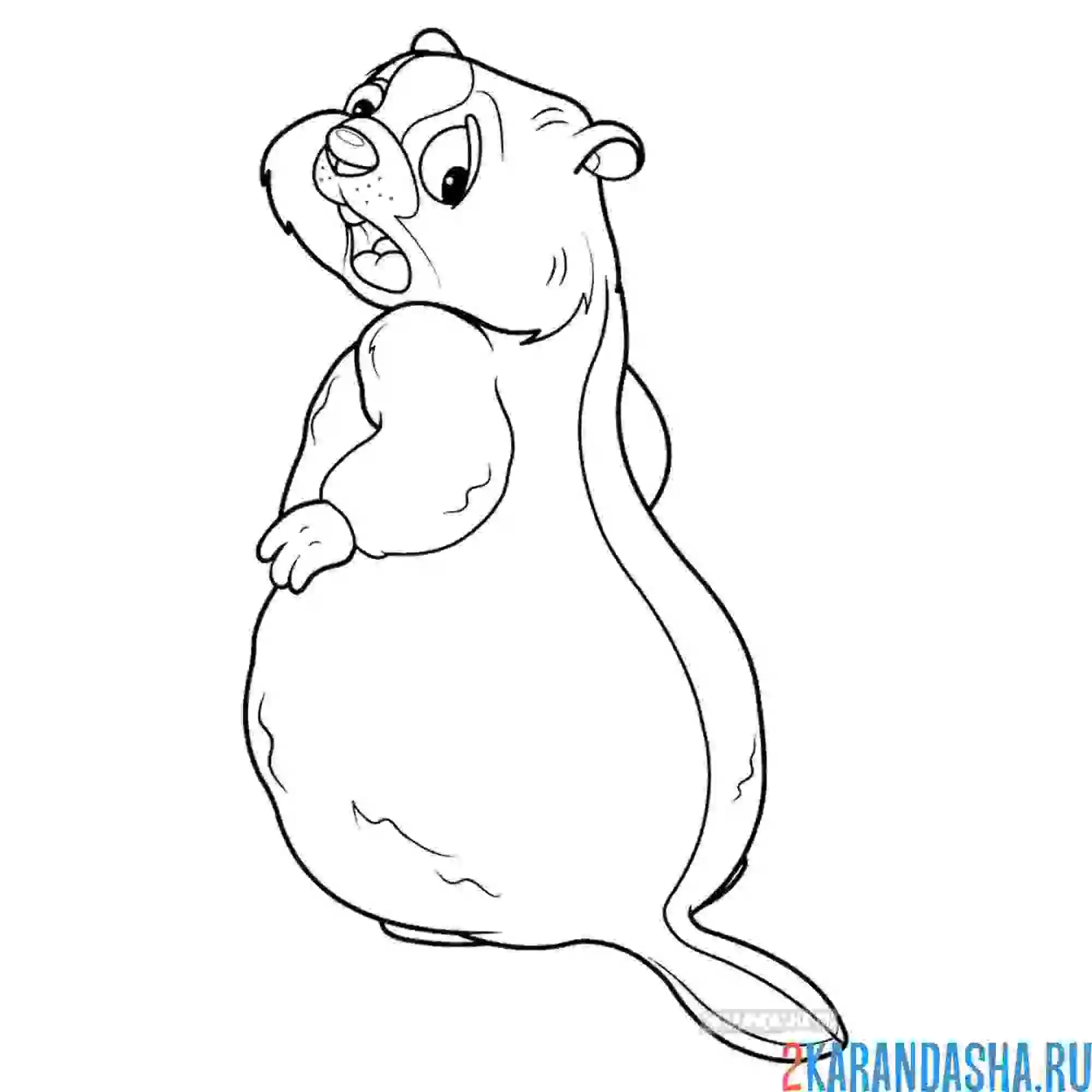 Раскраска бобер испугался