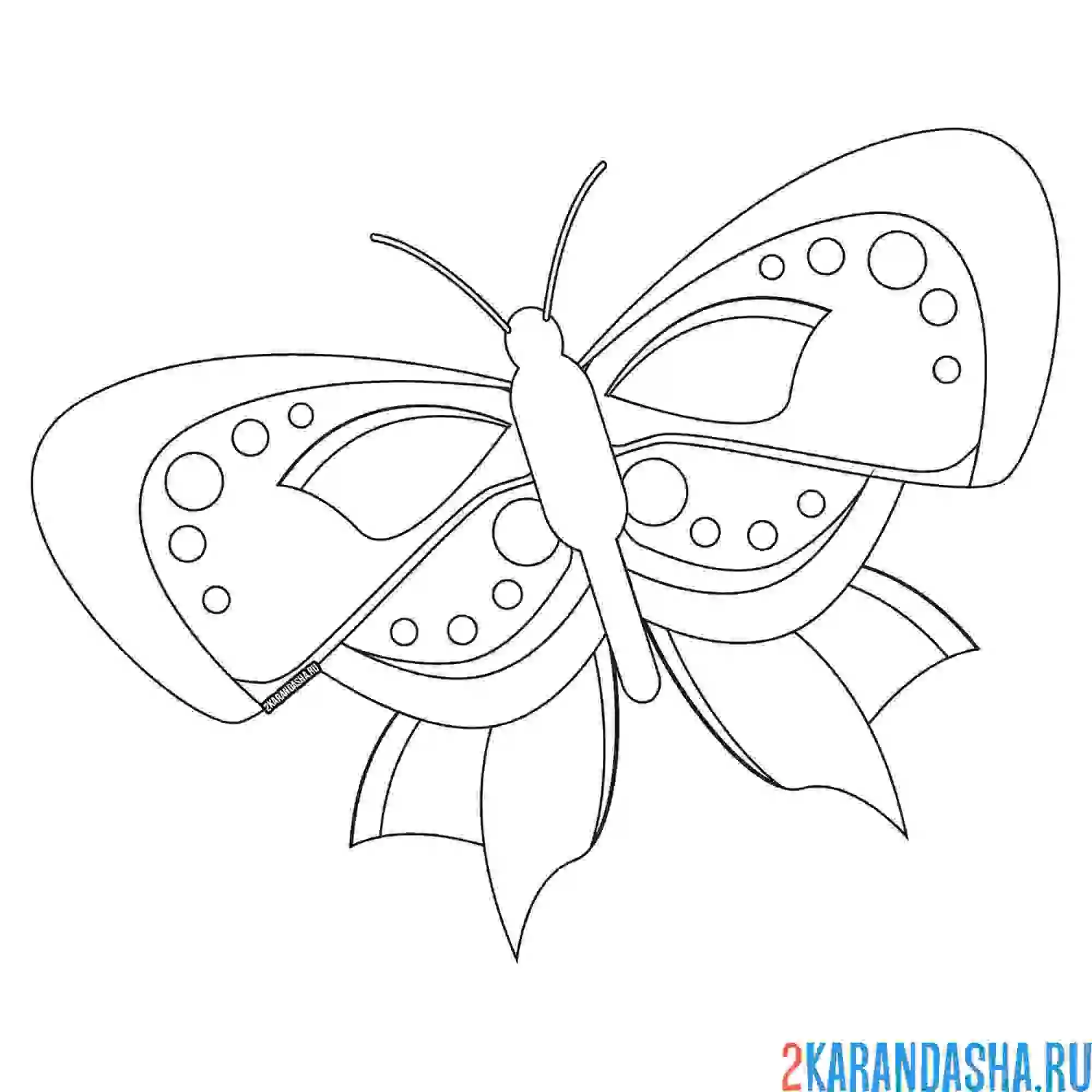 Раскраска бабочка похожа на маску