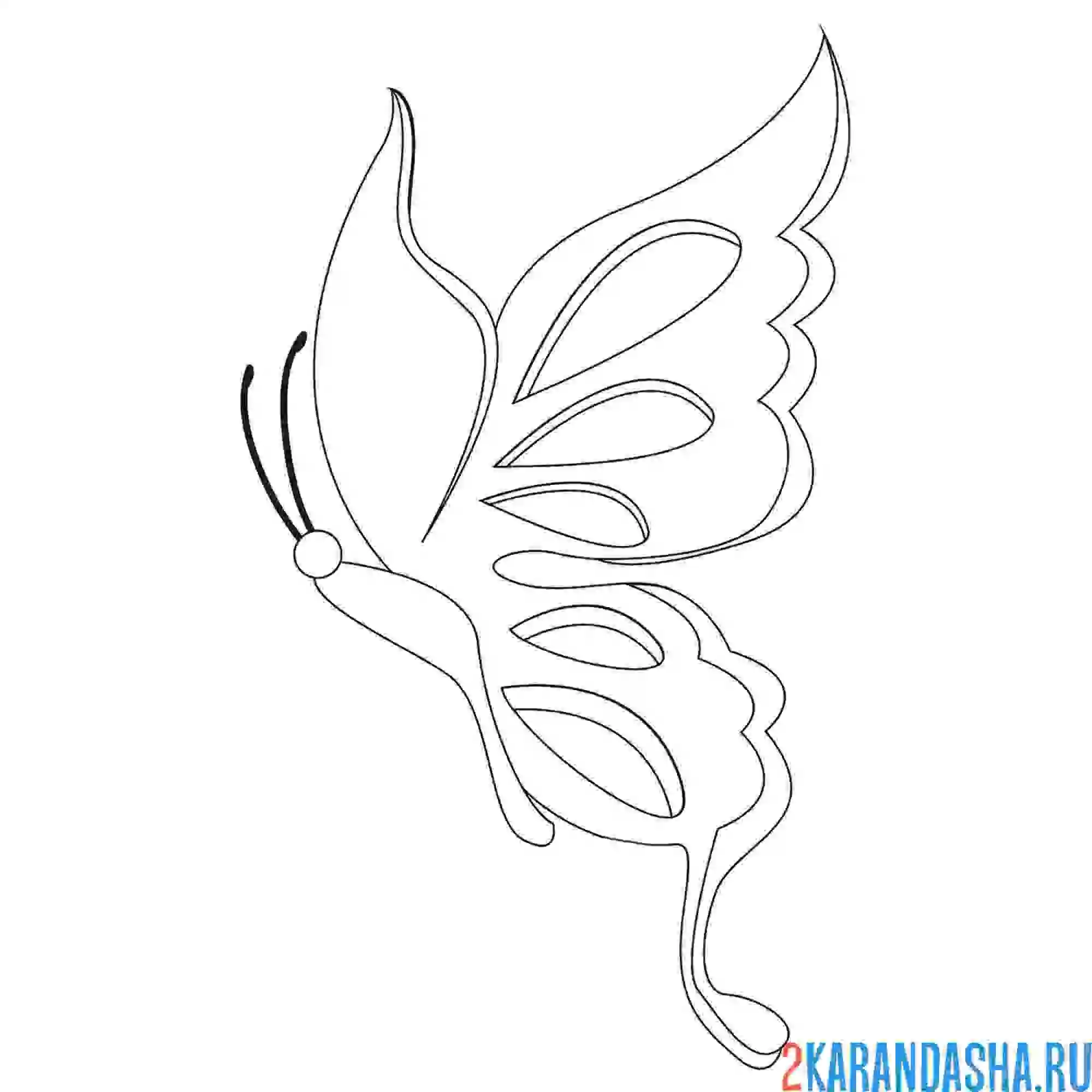 Раскраска бабочка для самых маленьких