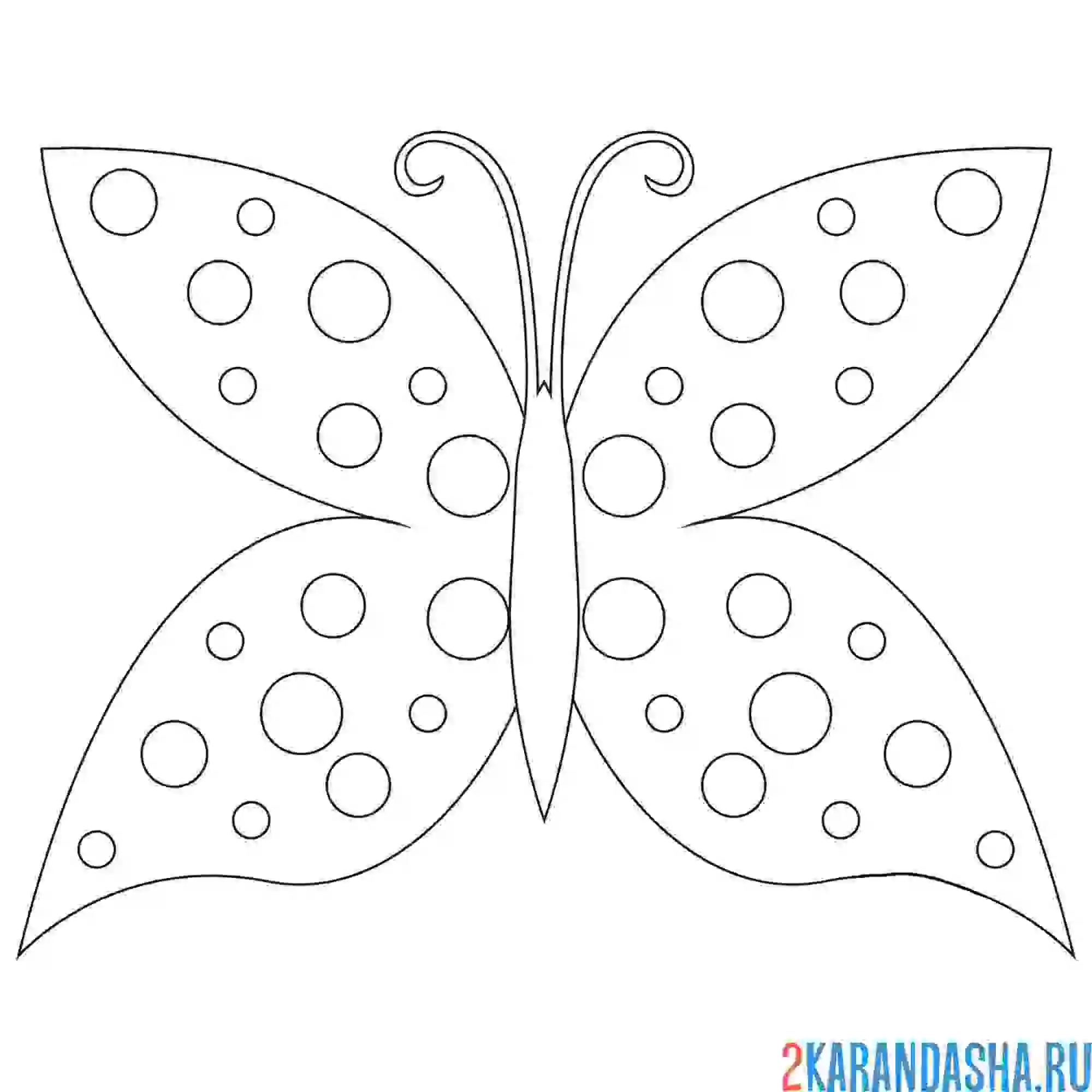 Раскраска контурная раскраска бобочки