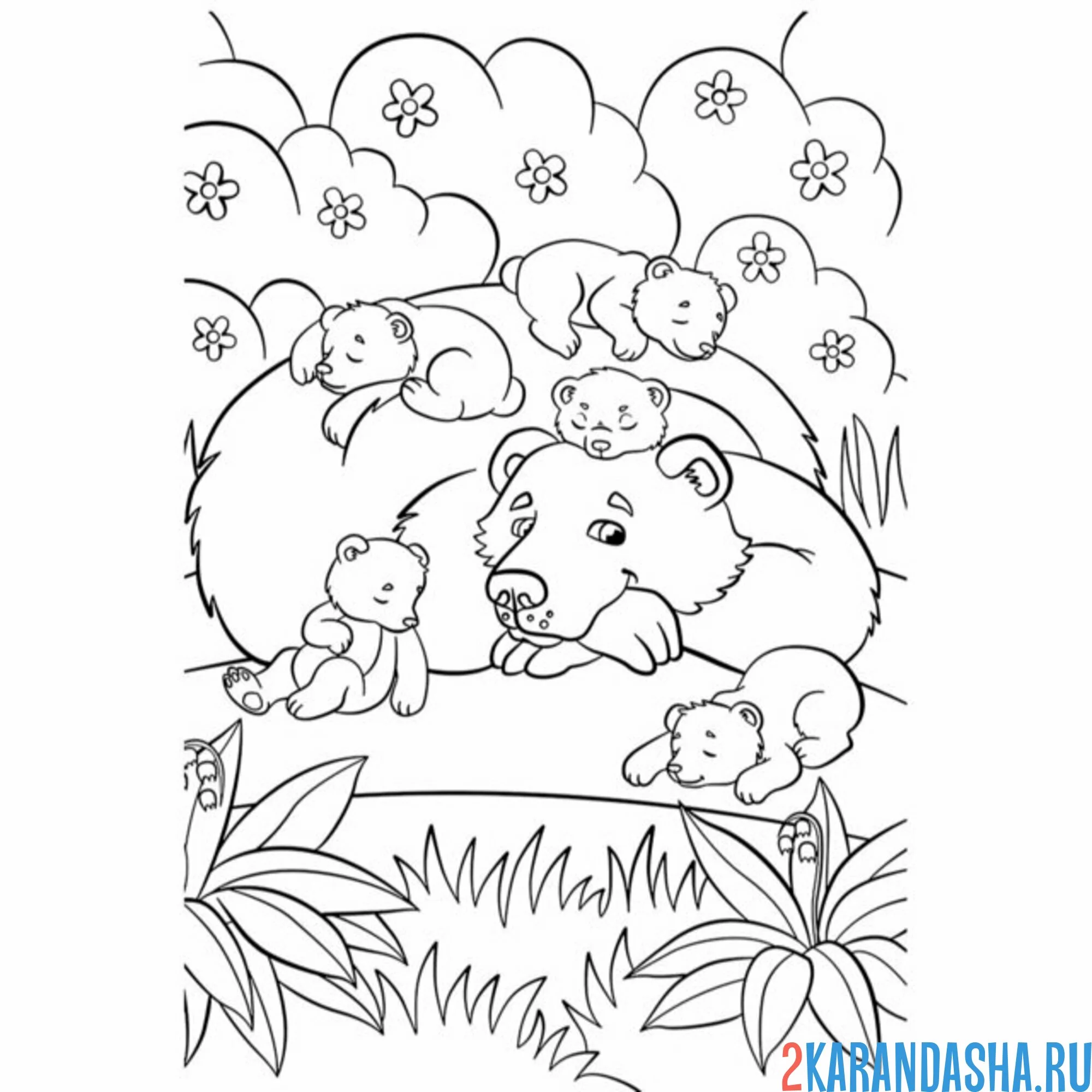 Раскраска мама медведь и медвежата в лесу
