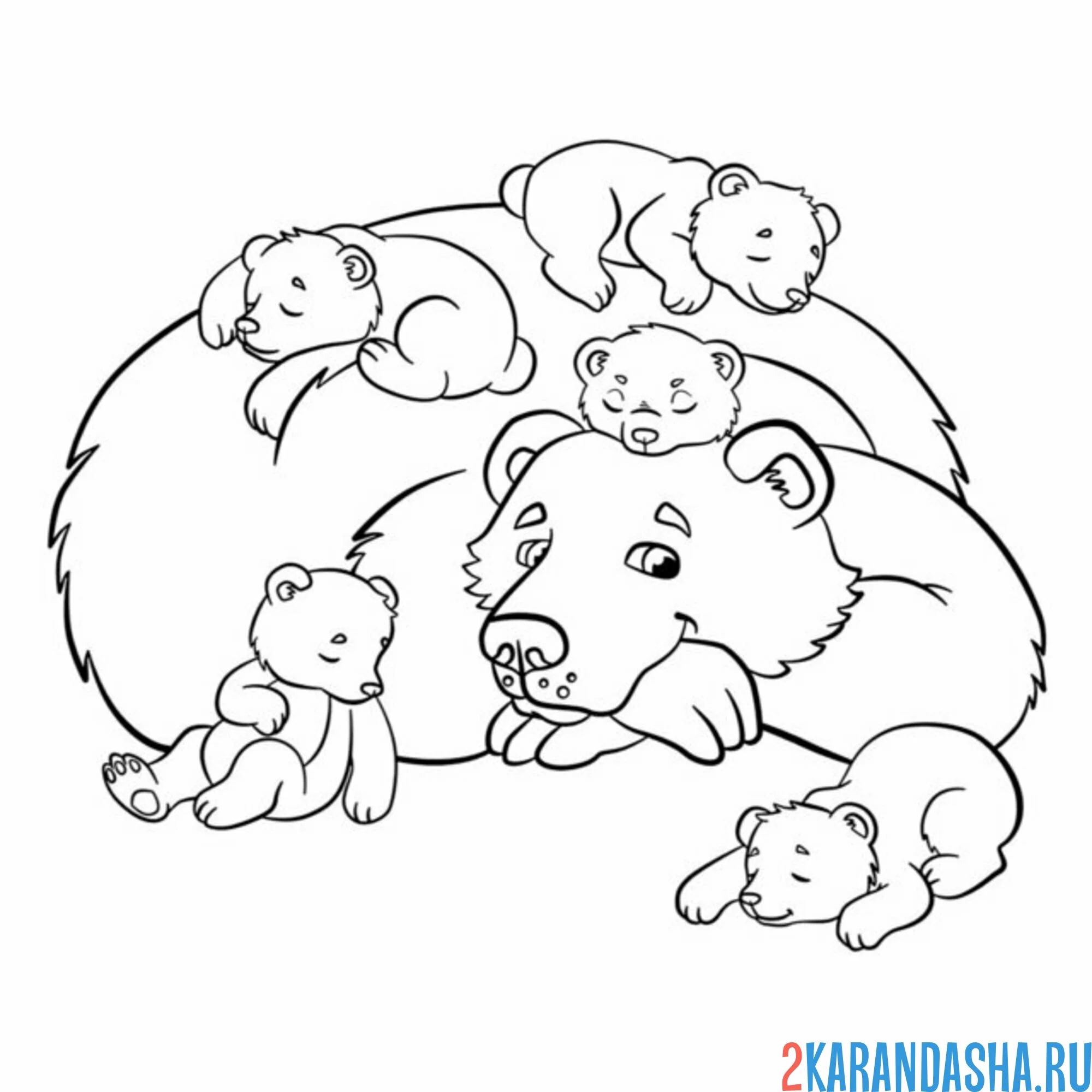 Раскраска мама медведь и медвежата