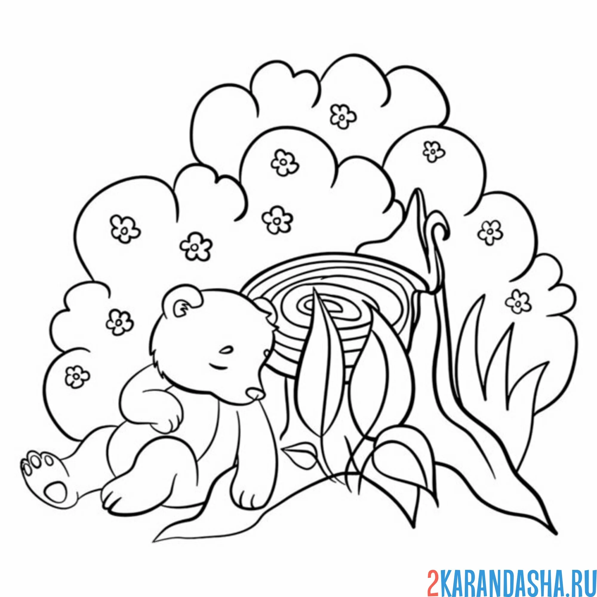 Раскраска медвежонок спит