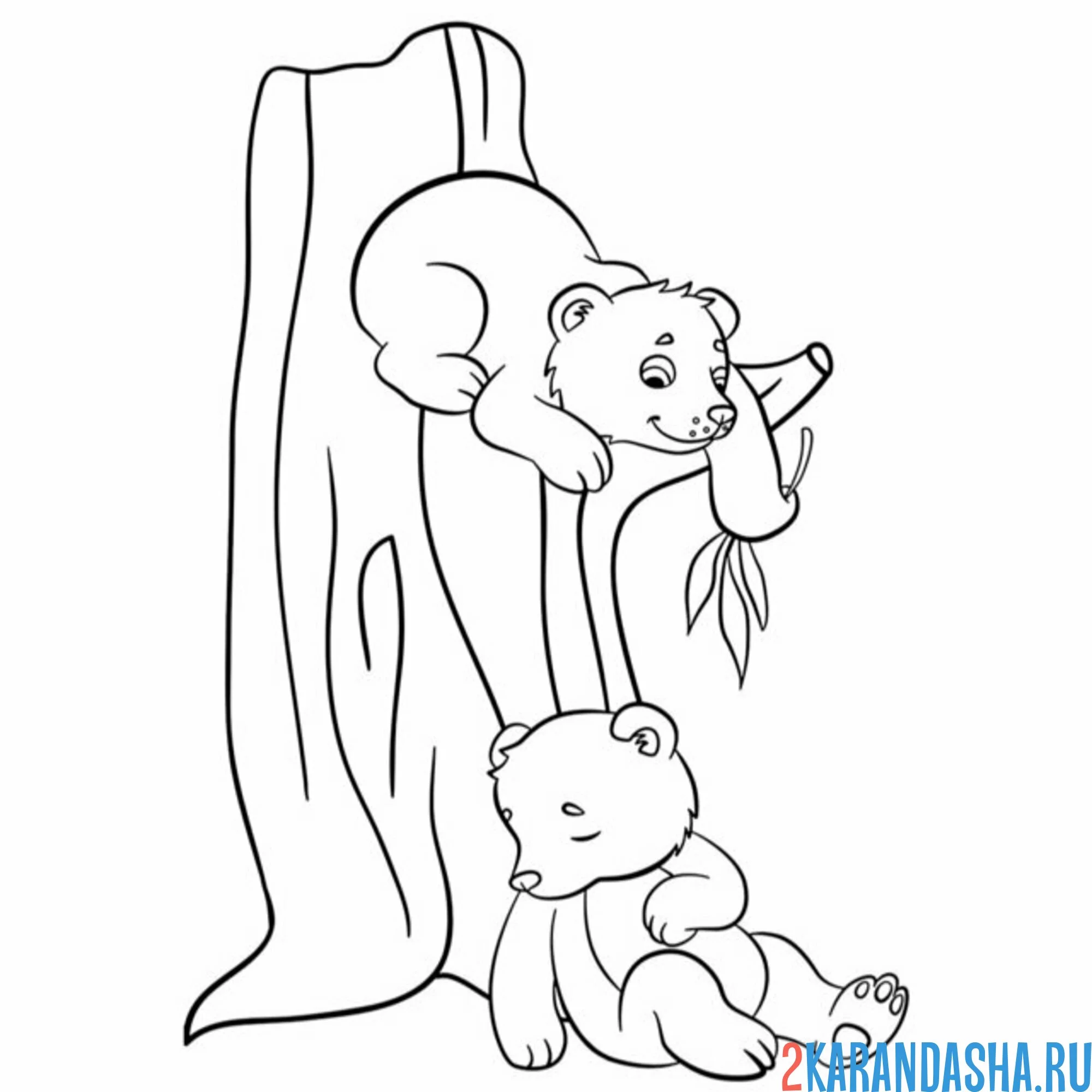 Раскраска медвежата спят