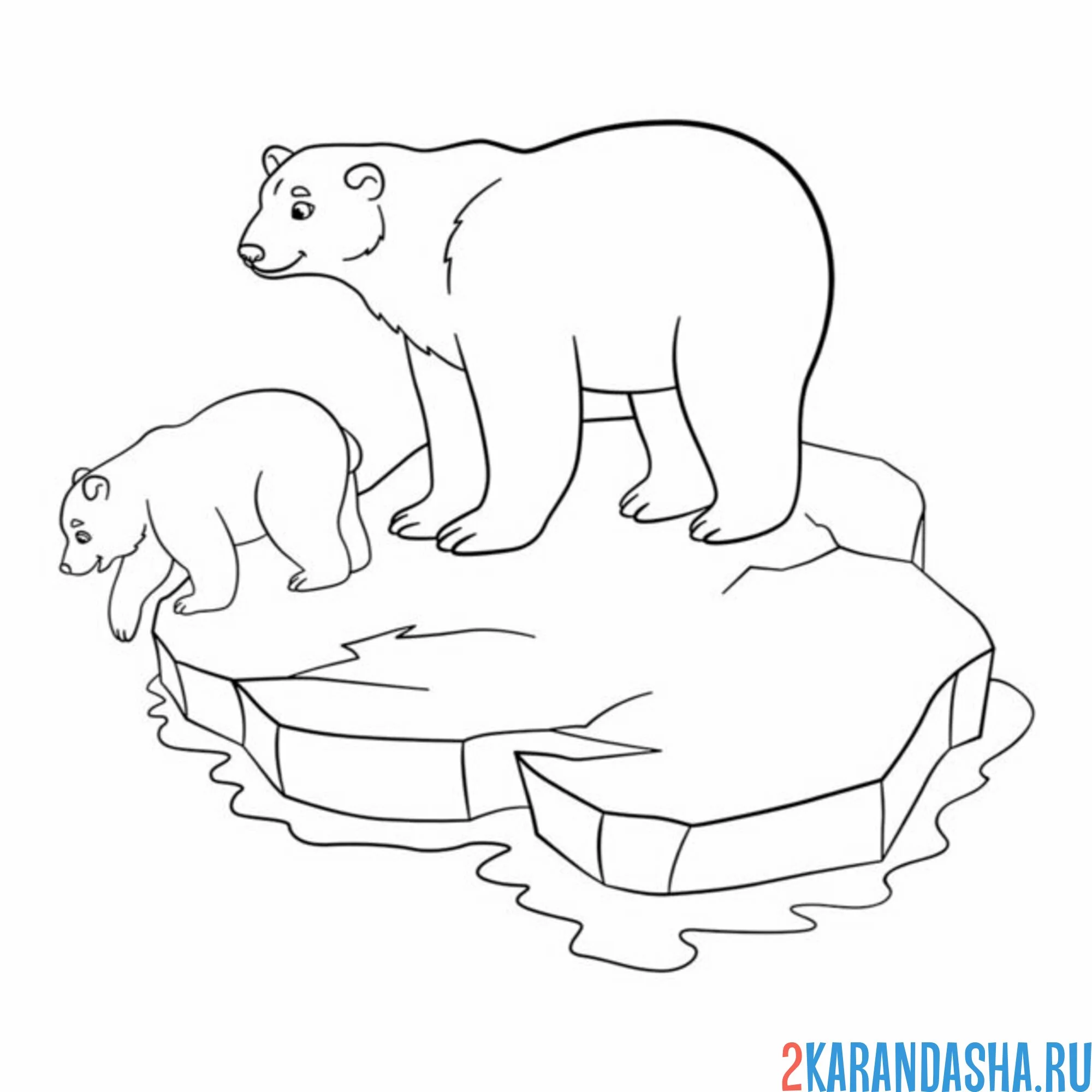 Раскраска белы медведи на льдине