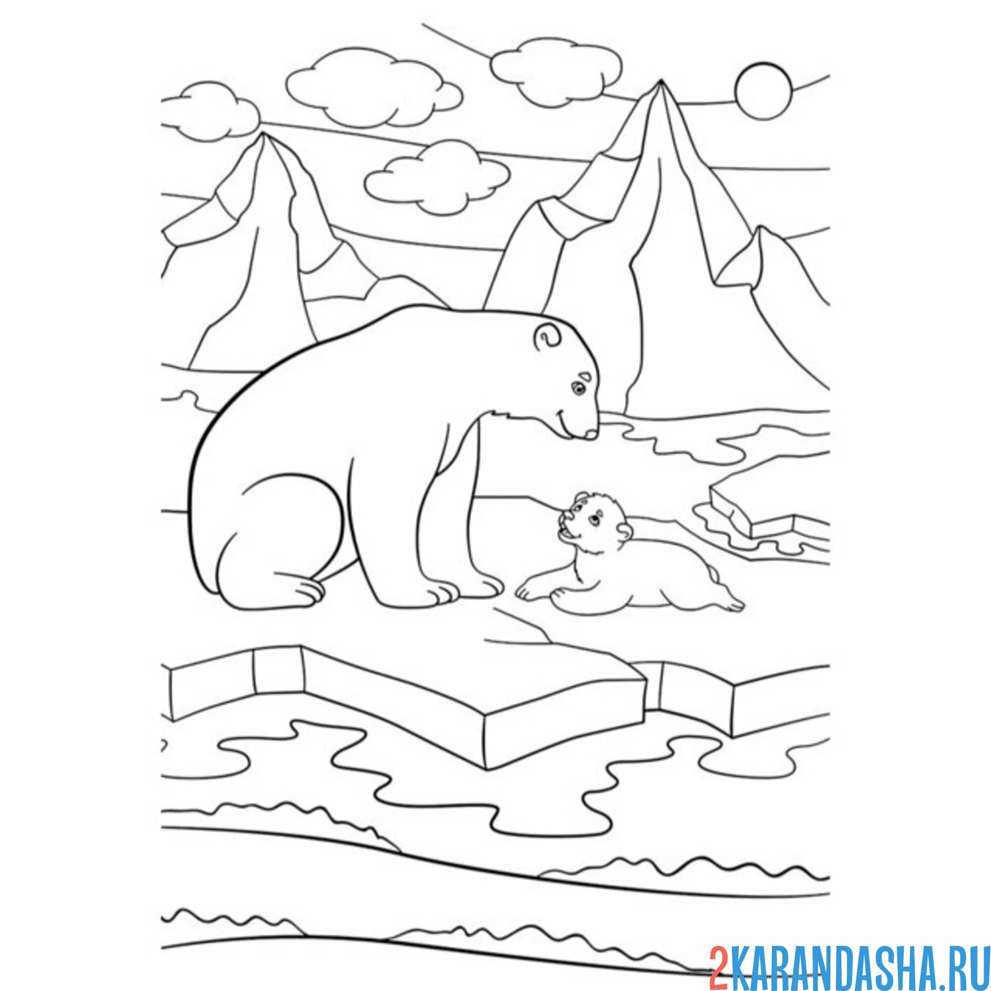 Раскраска белые медведи