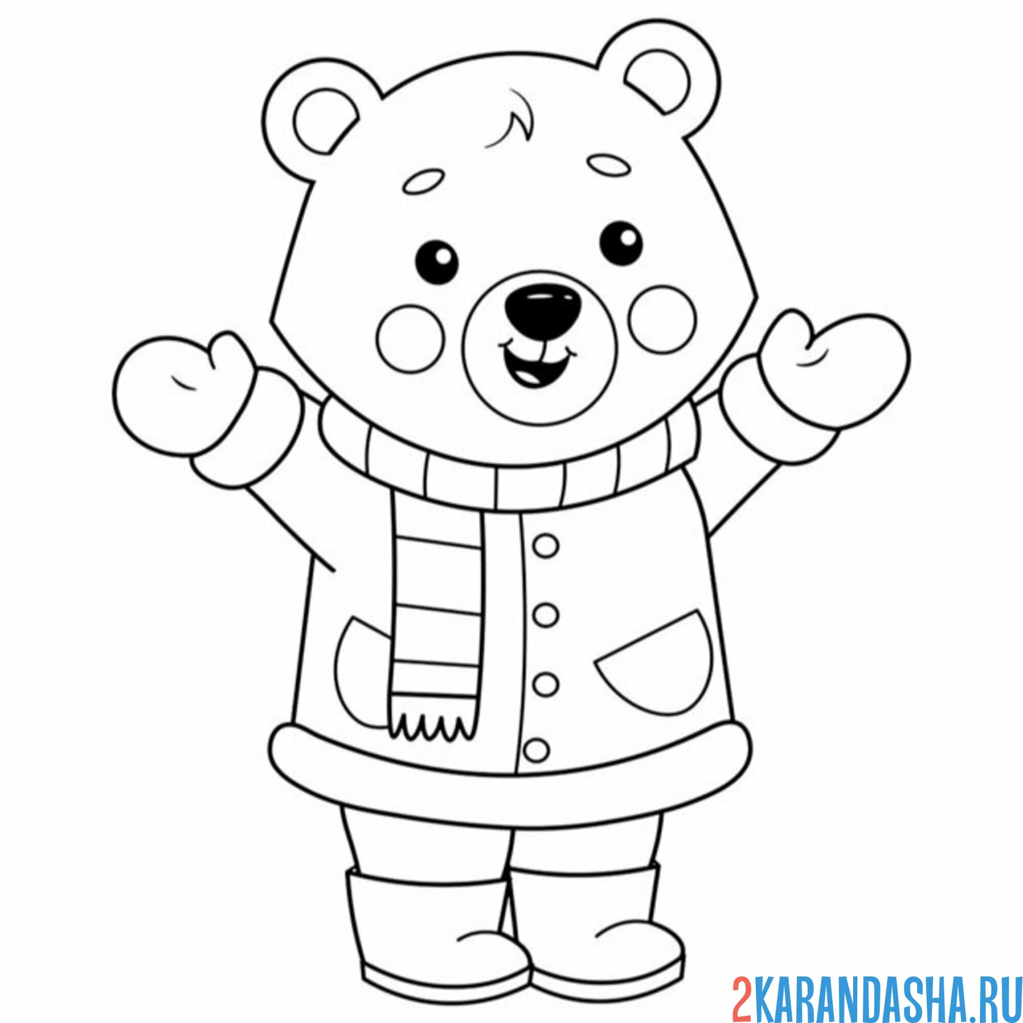 Раскраска медведь в пальто