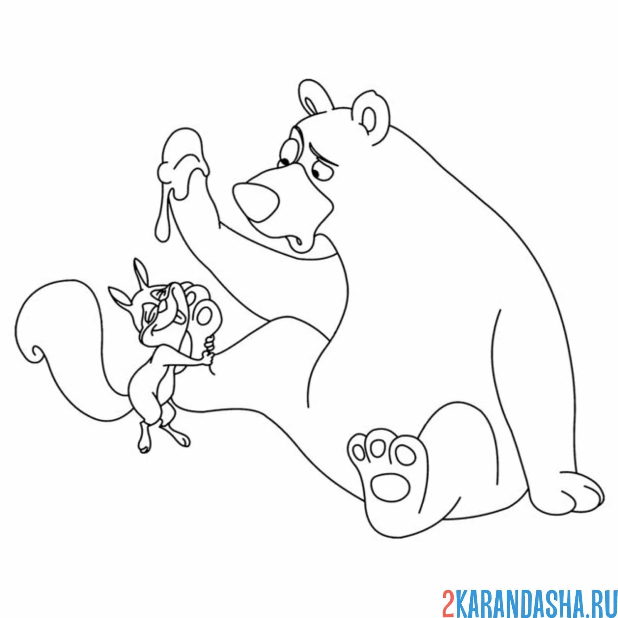 Раскраска белка и медведь