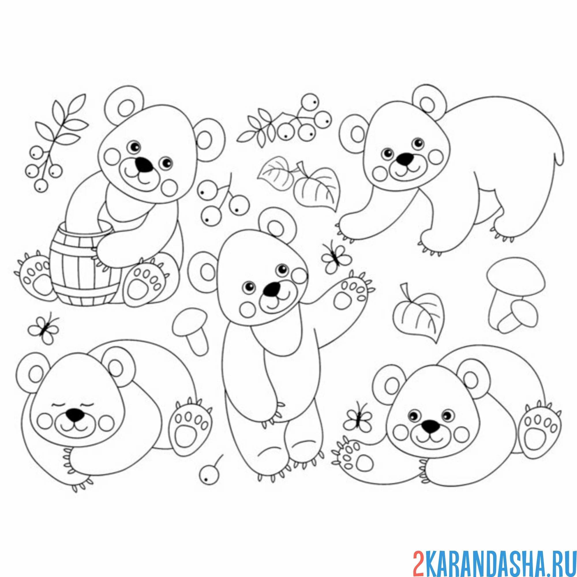 Раскраска коллекция медведей