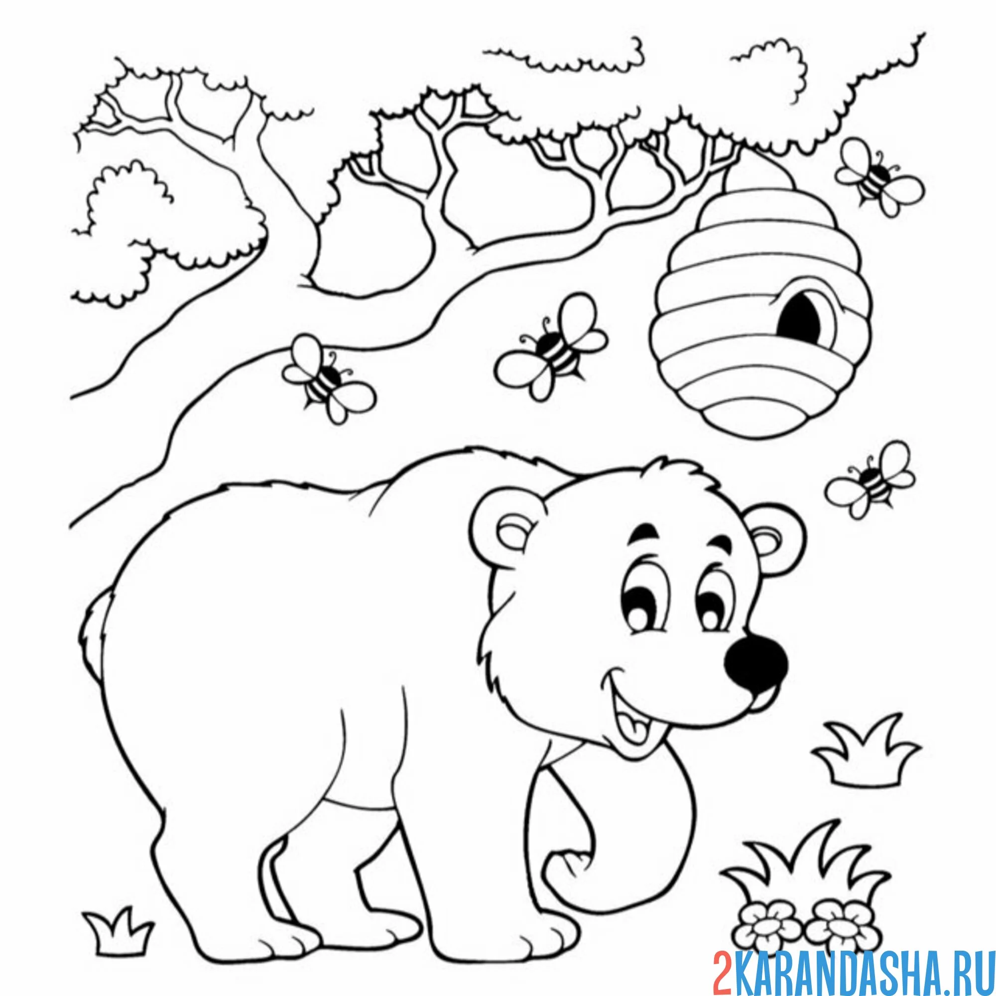 Раскраска медведь и пчелиный улей