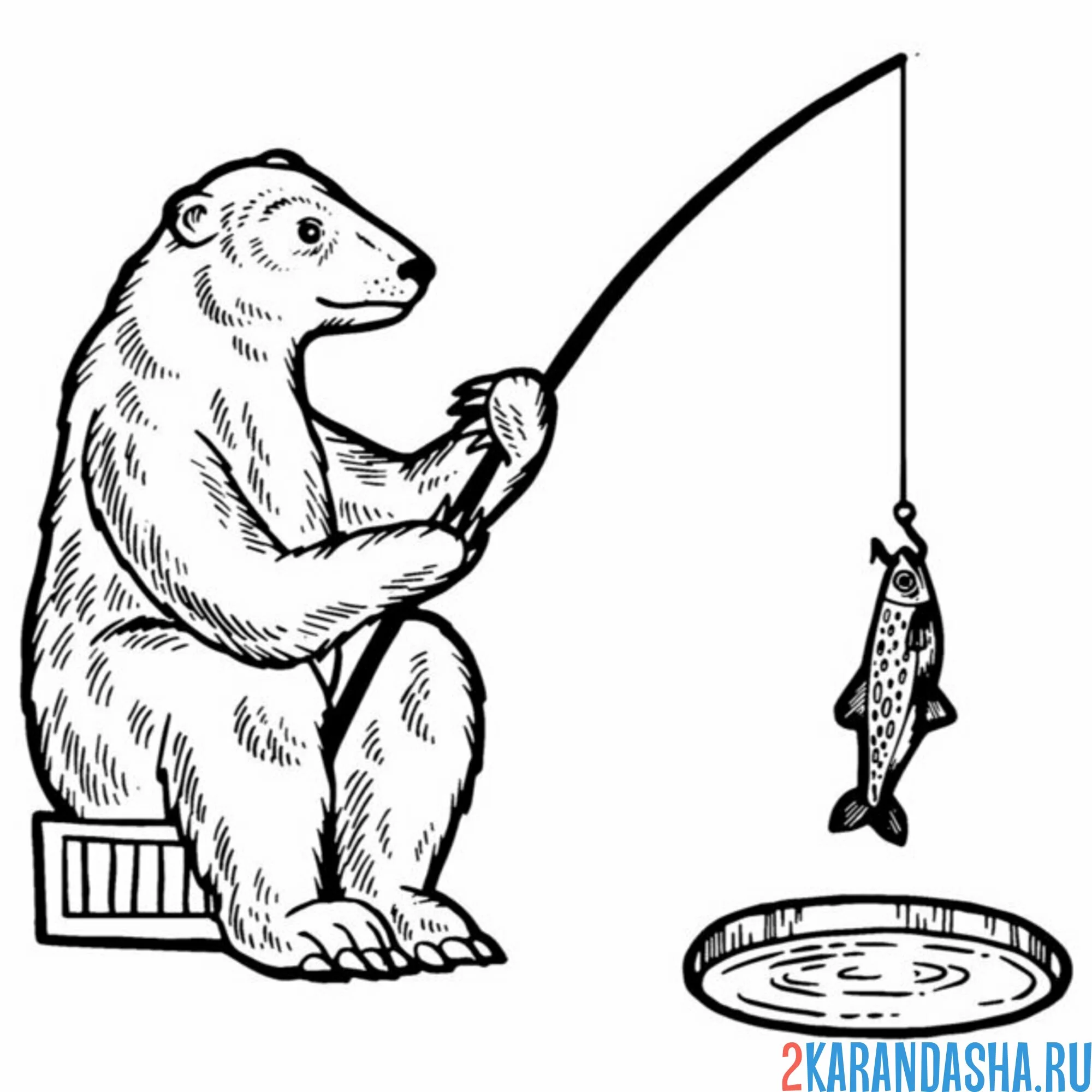 Раскраска медведь на рыбалке