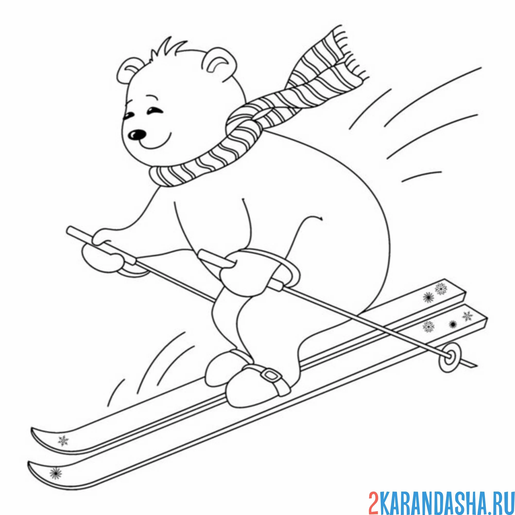 Раскраска медведь лыжник