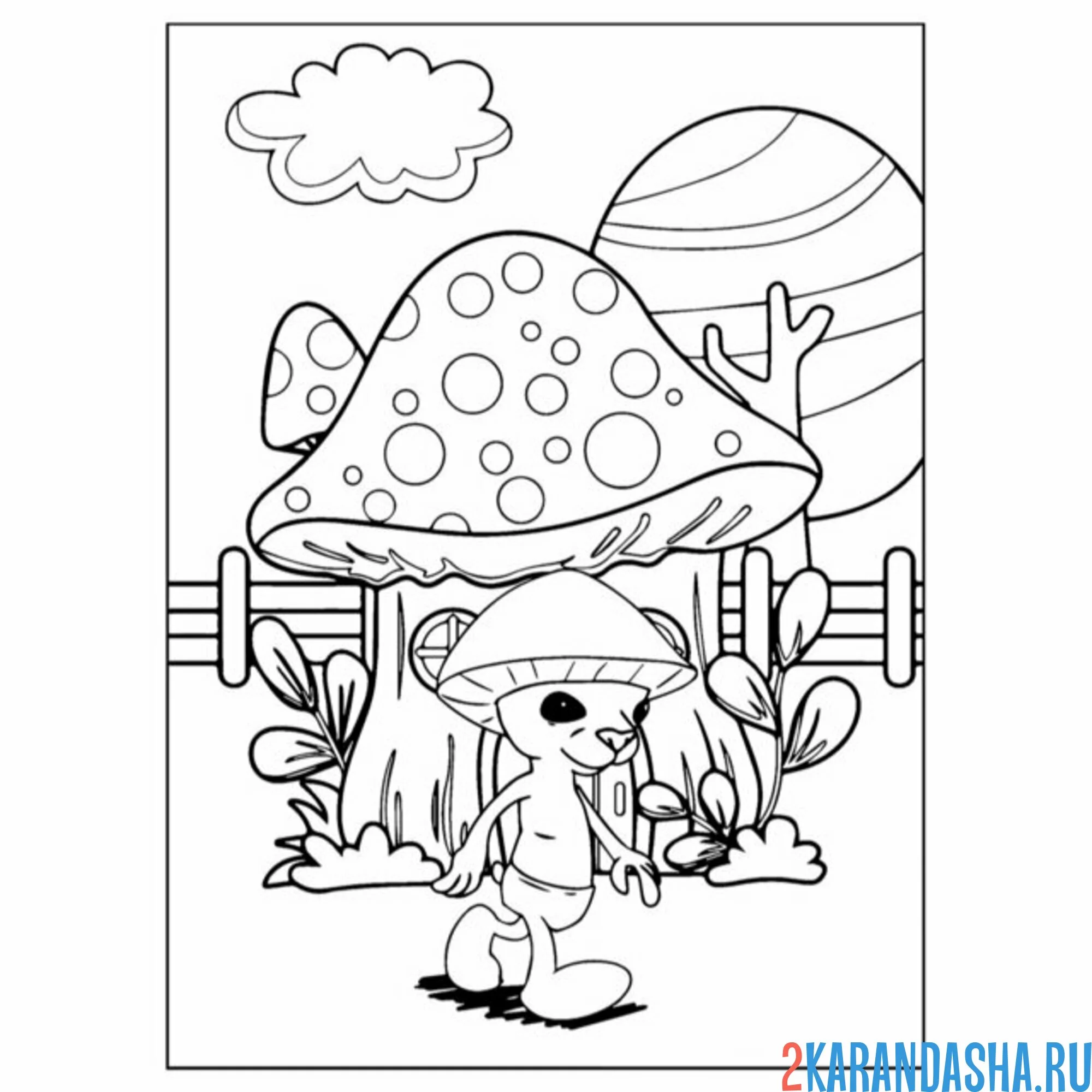 Раскраска шайлушай и грибы