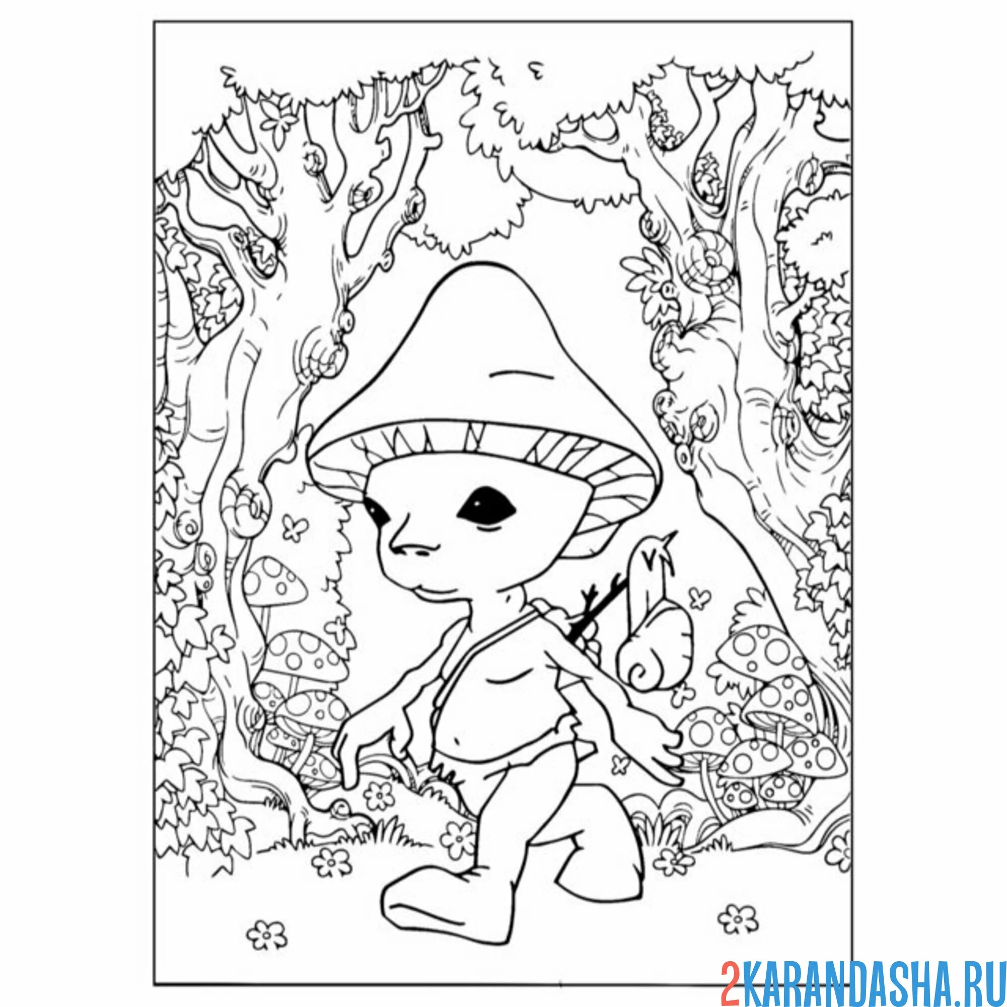 Раскраска шайлушай в джунглях