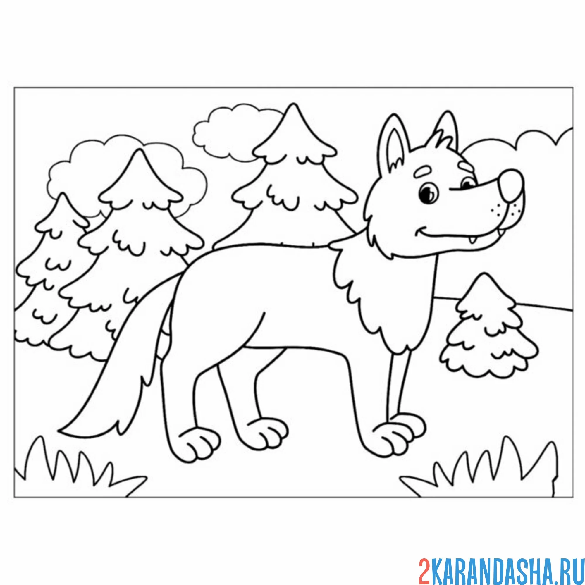 Раскраска волк добрый в лесу