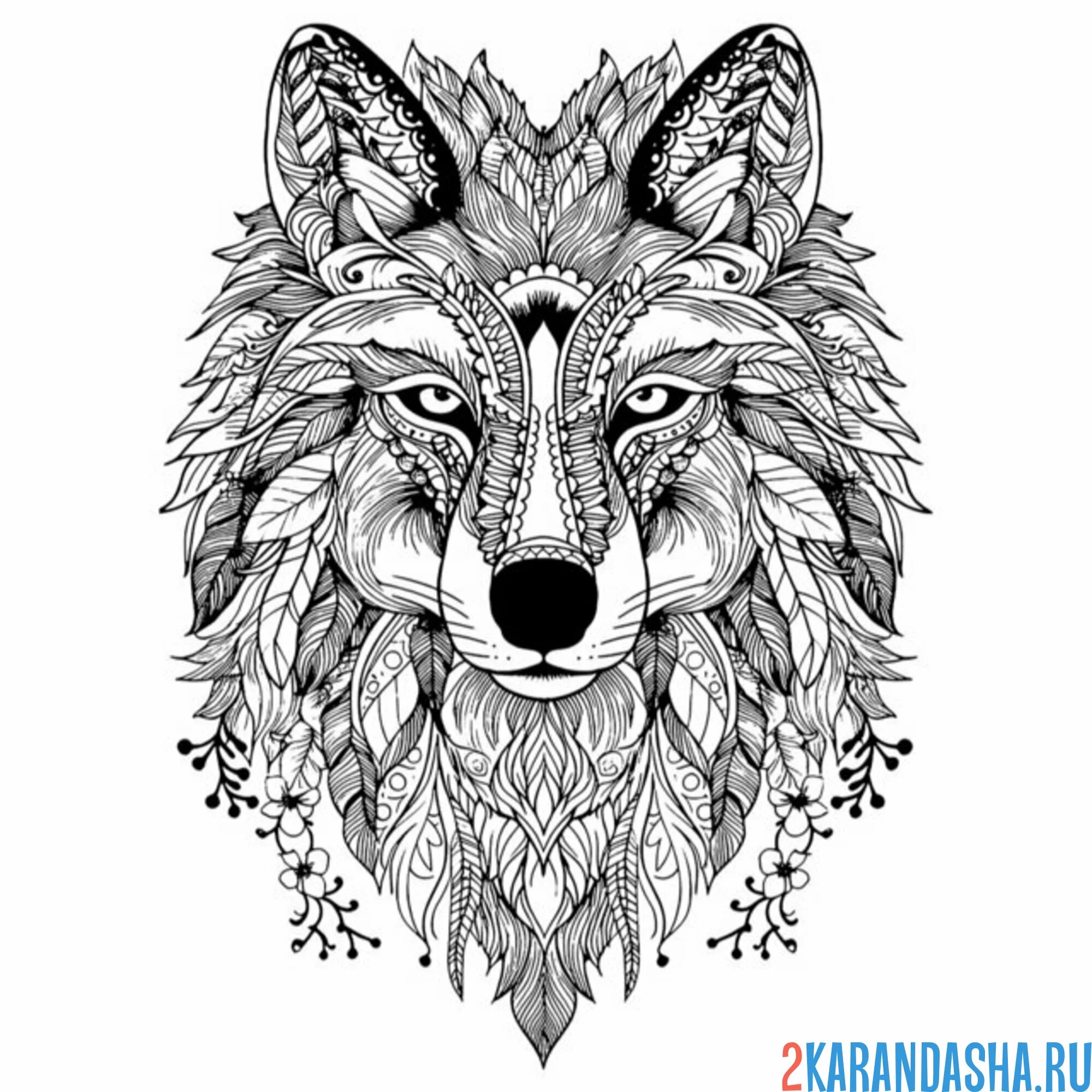 Раскраска серьезный волк