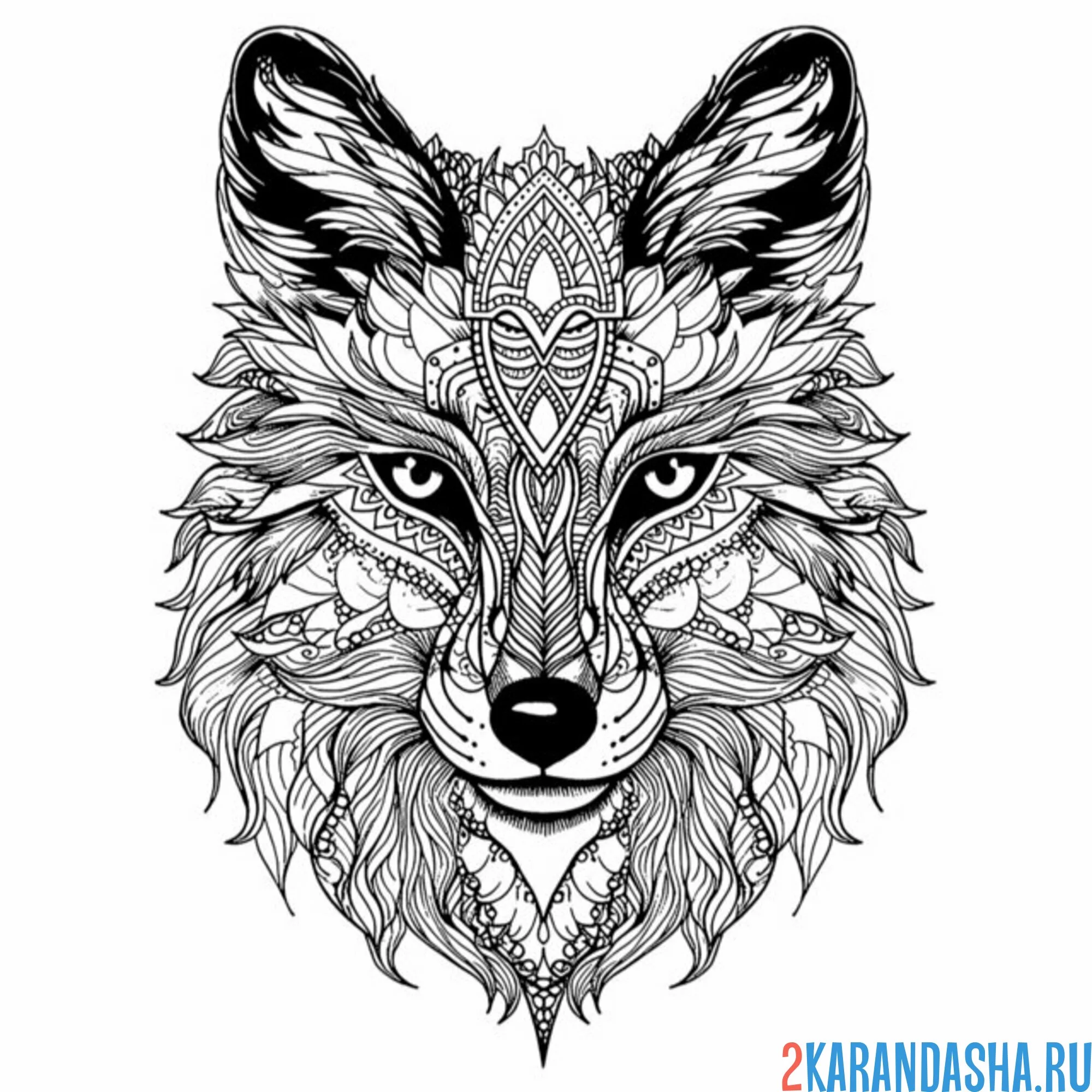 Раскраска дикий волк антистресс
