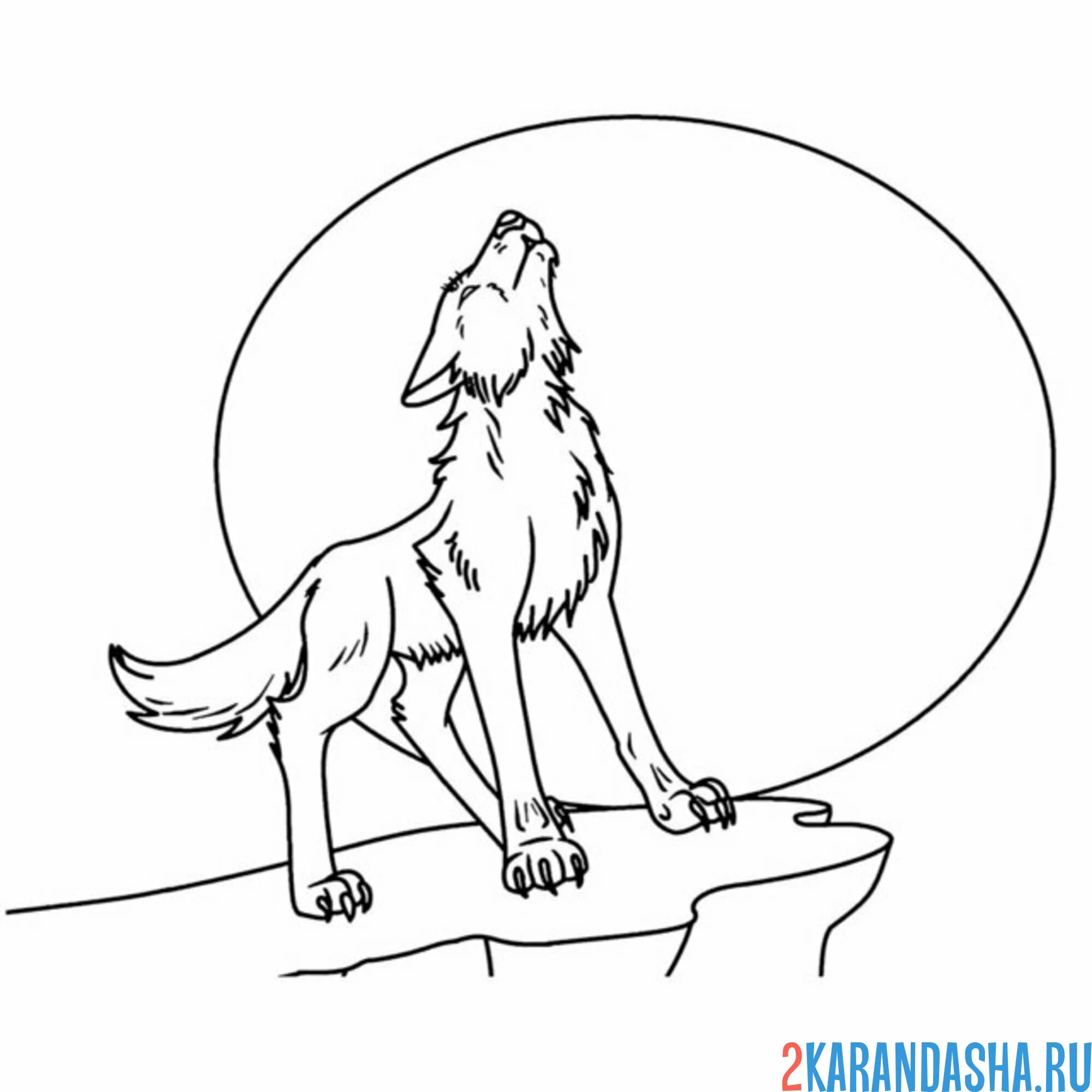 Раскраска волк на скале воет на луну