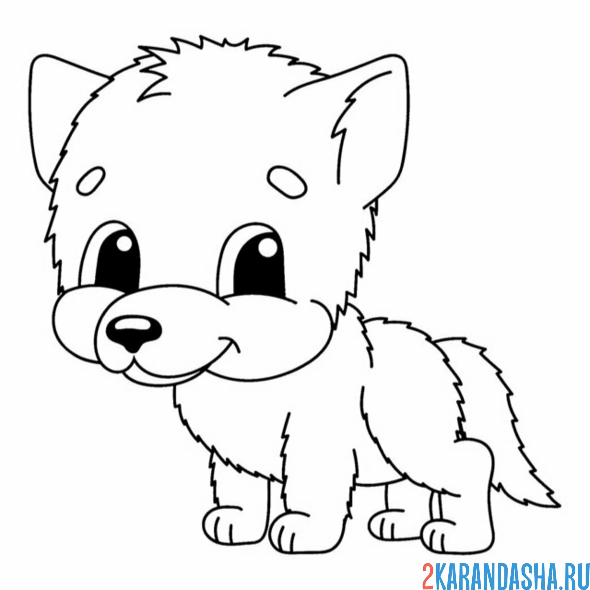 Раскраска молодой волчонок