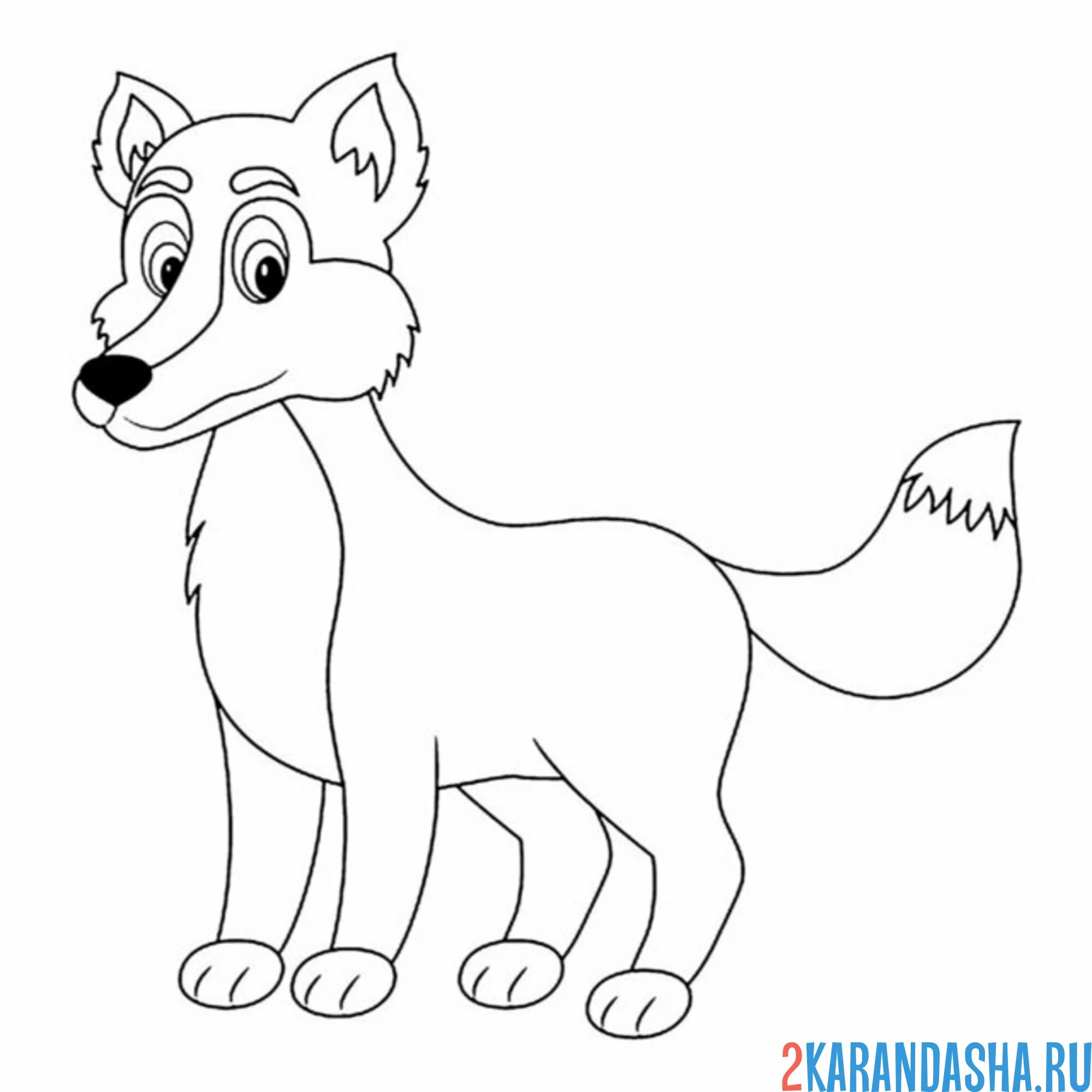 Раскраска волк взрослый