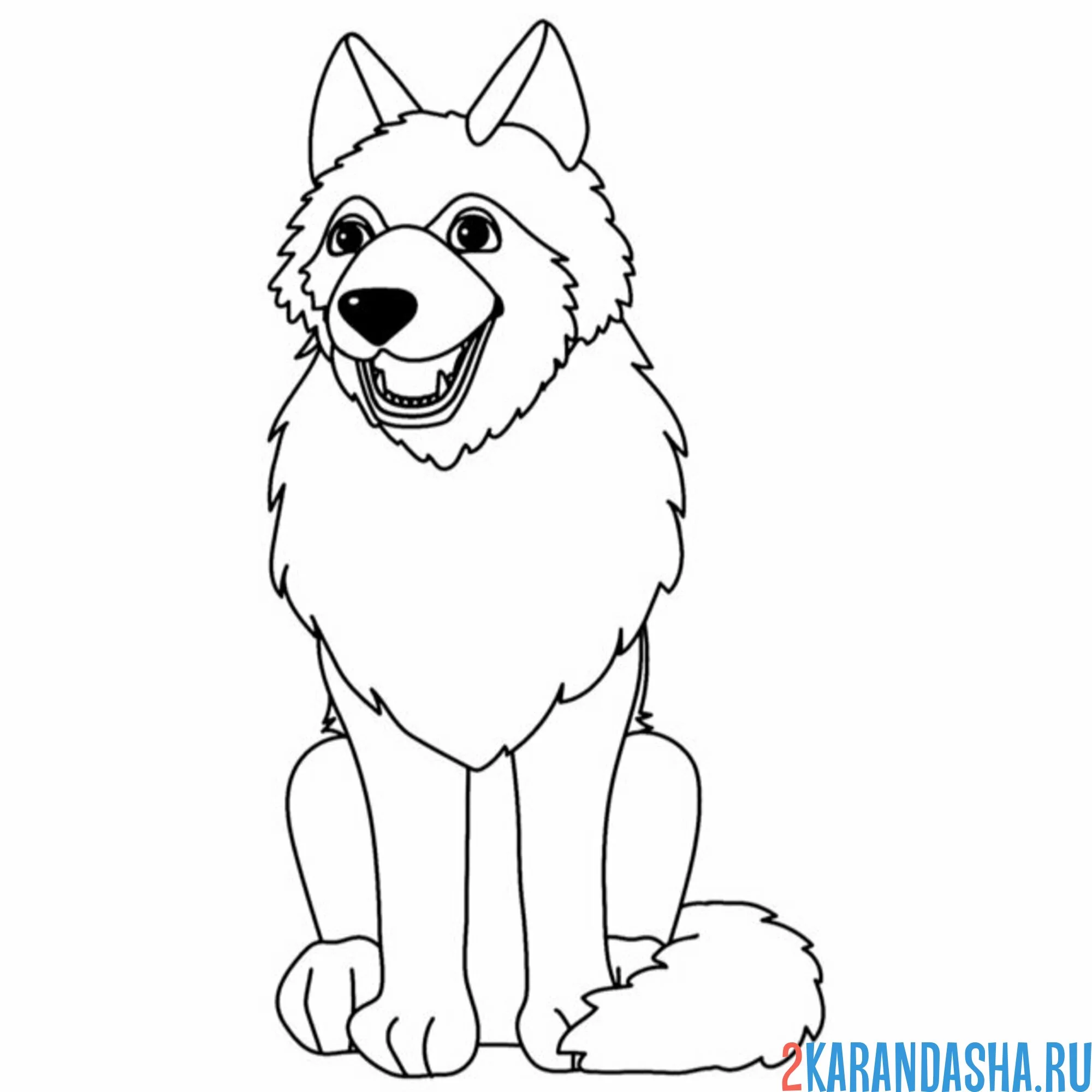 Раскраска волк сидит
