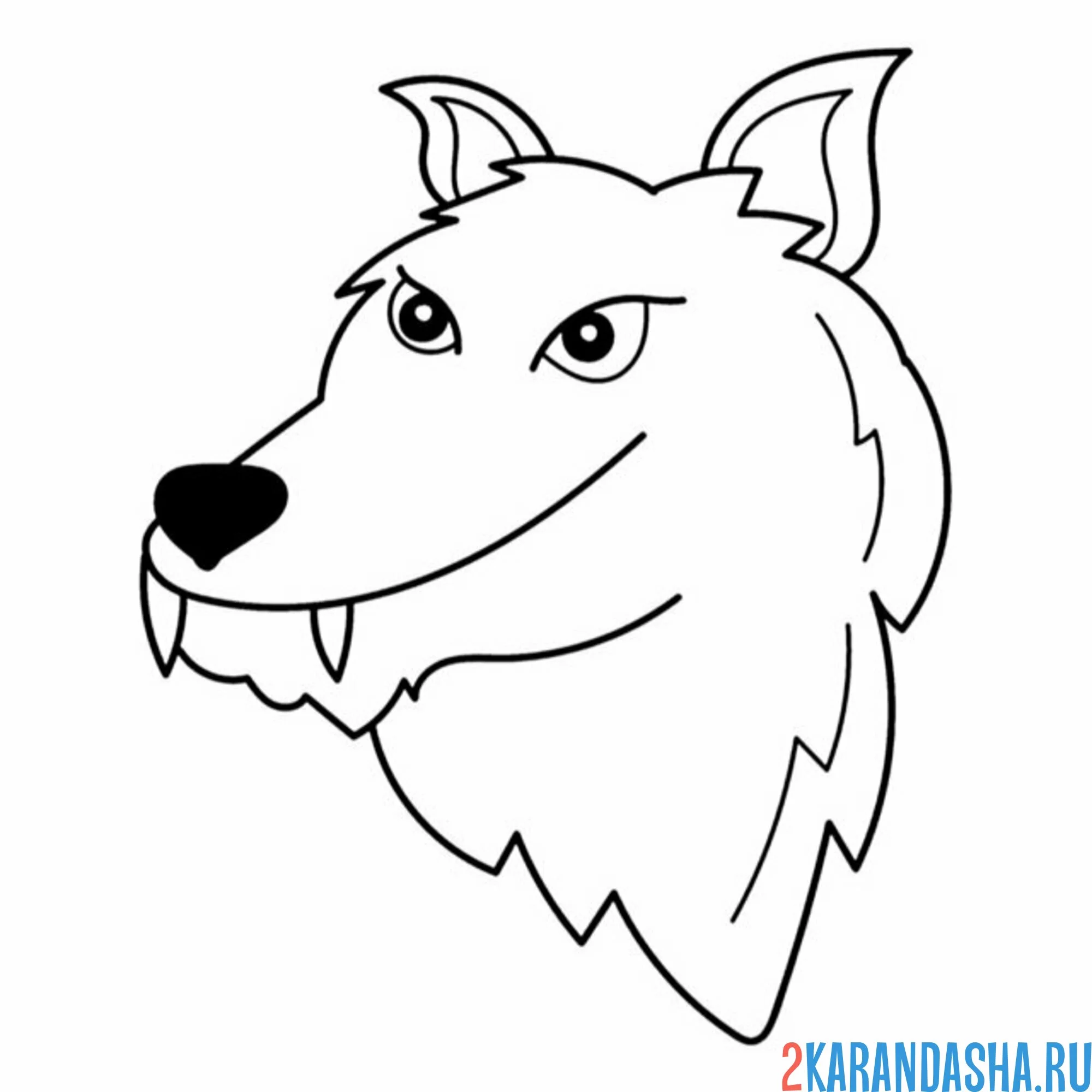 Раскраска клыки волка