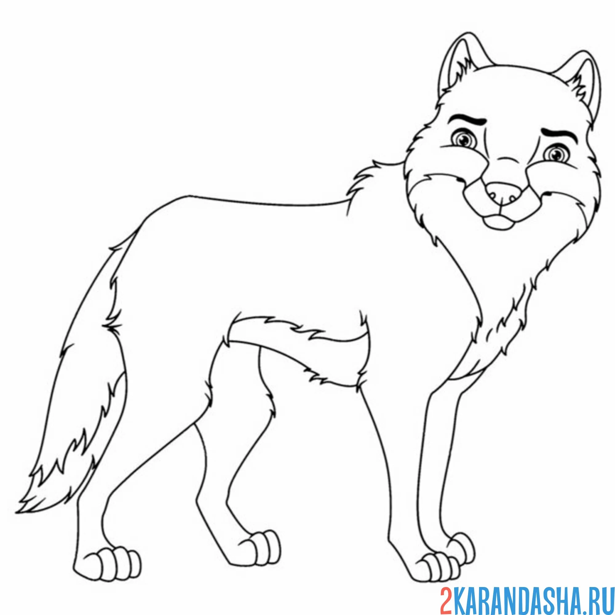 Раскраска волк сильный