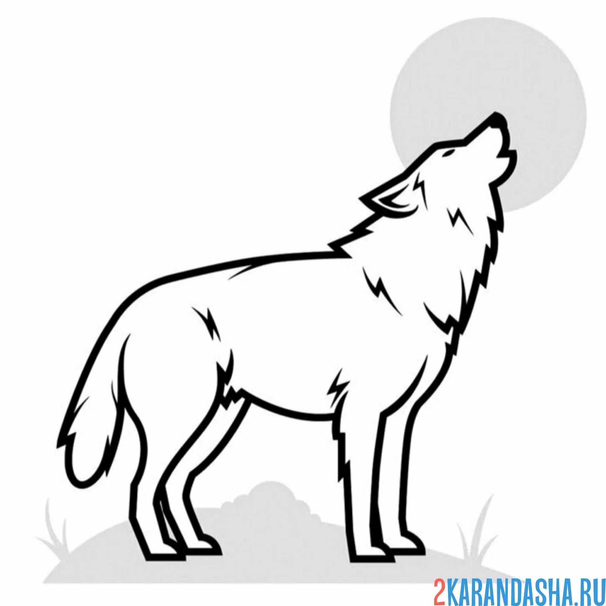 Раскраска волк дикий воет на луну
