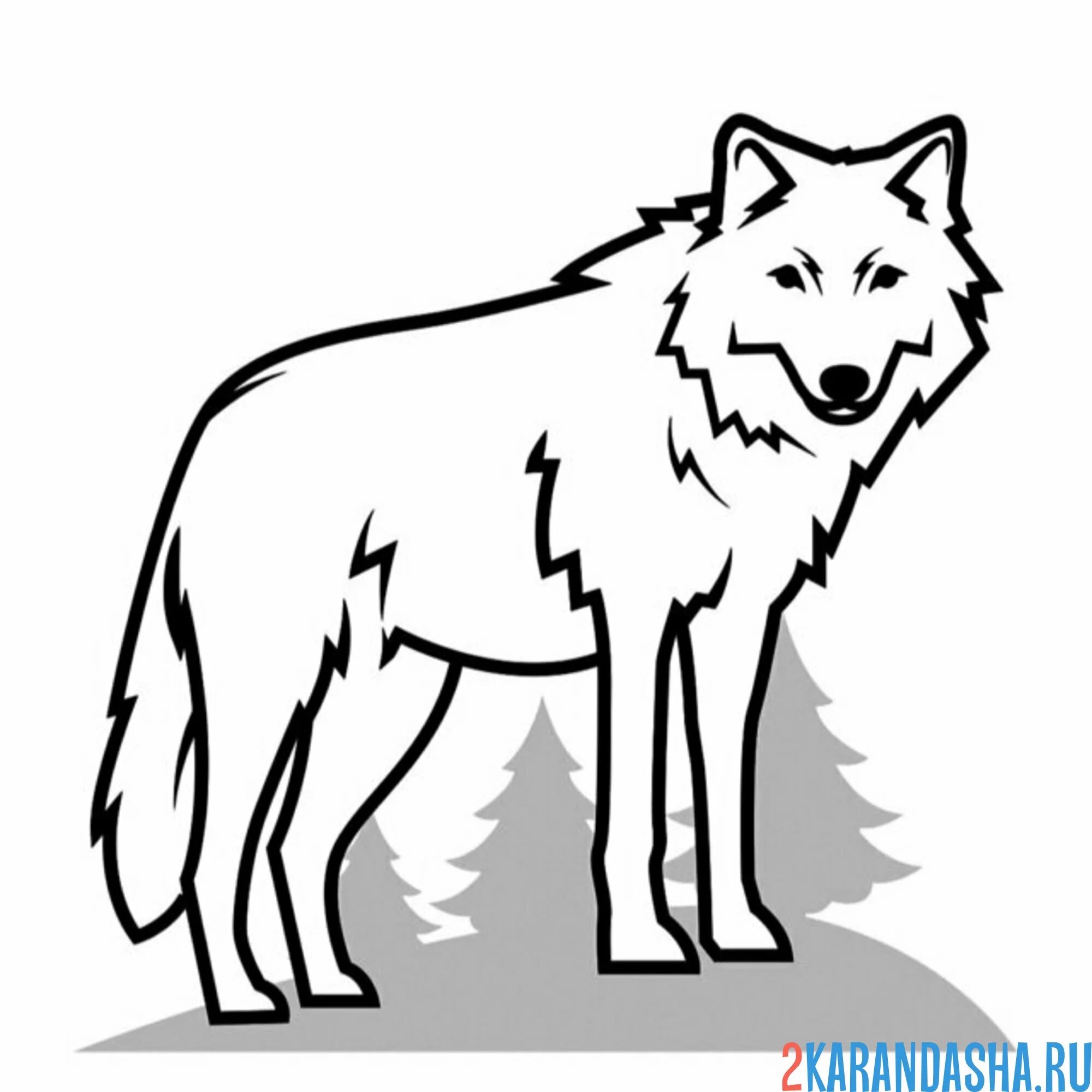 Раскраска вол в сосновом лесу