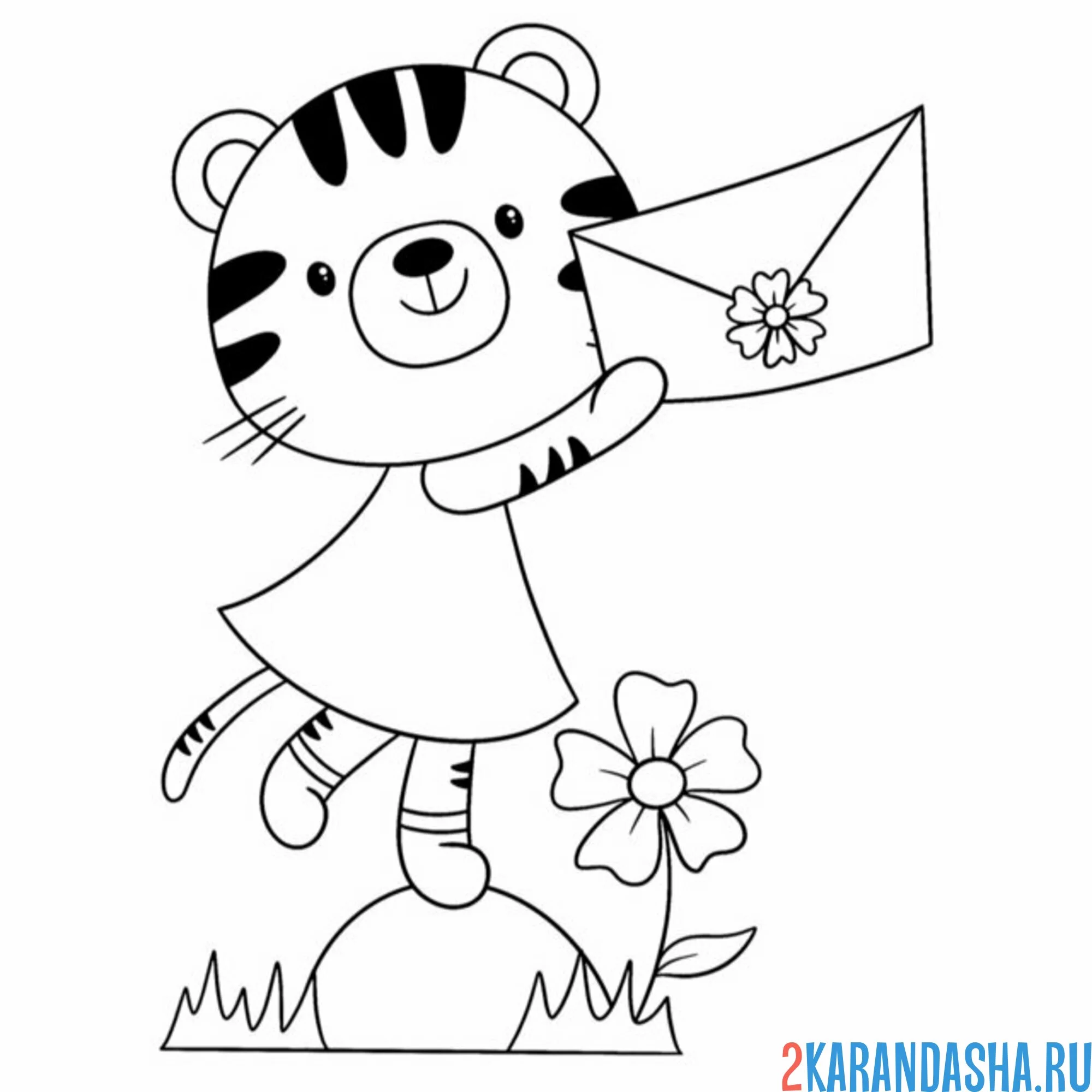 Раскраска тигрица с конвертом