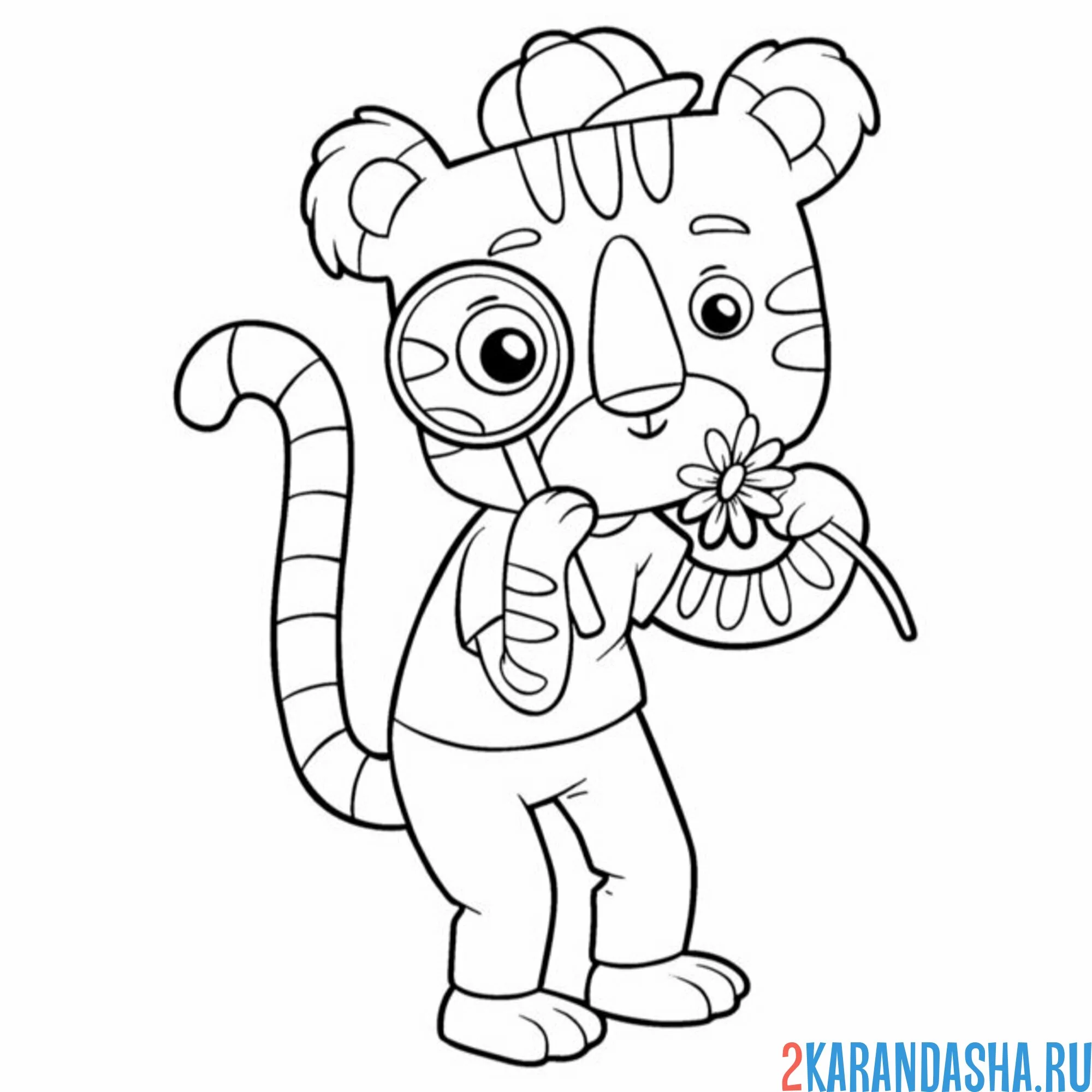 Раскраска тигр следователь