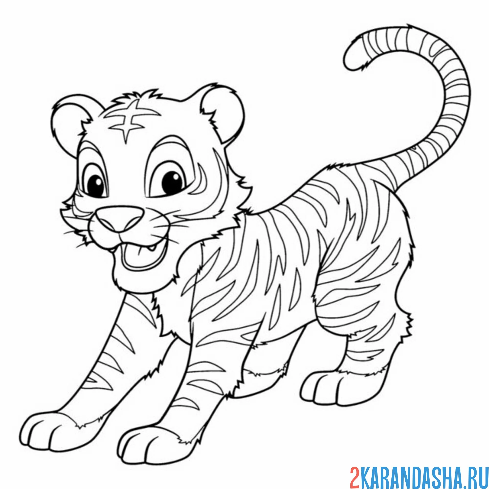 Раскраска тигр маленький играет