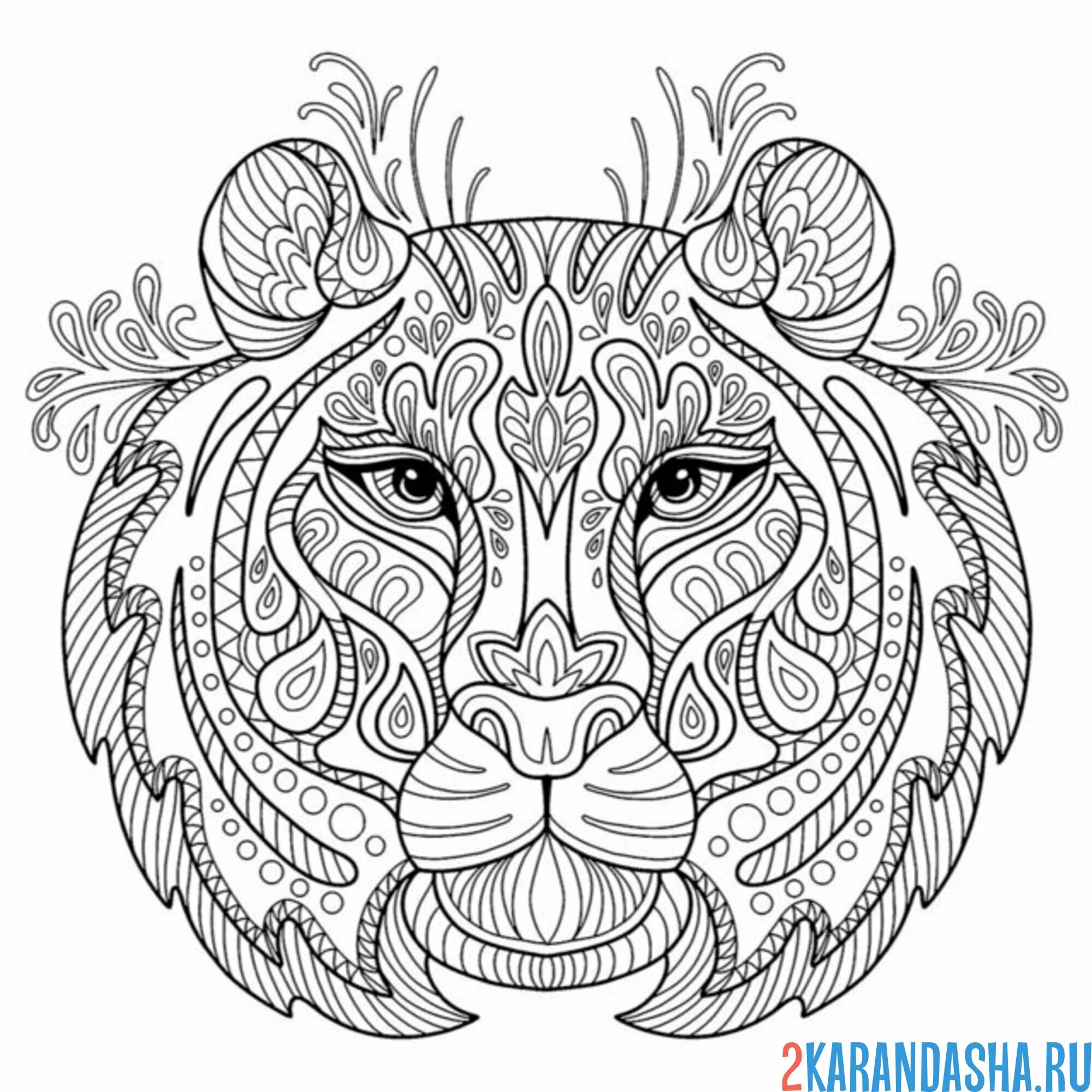 Раскраска антистресс тигриная голова